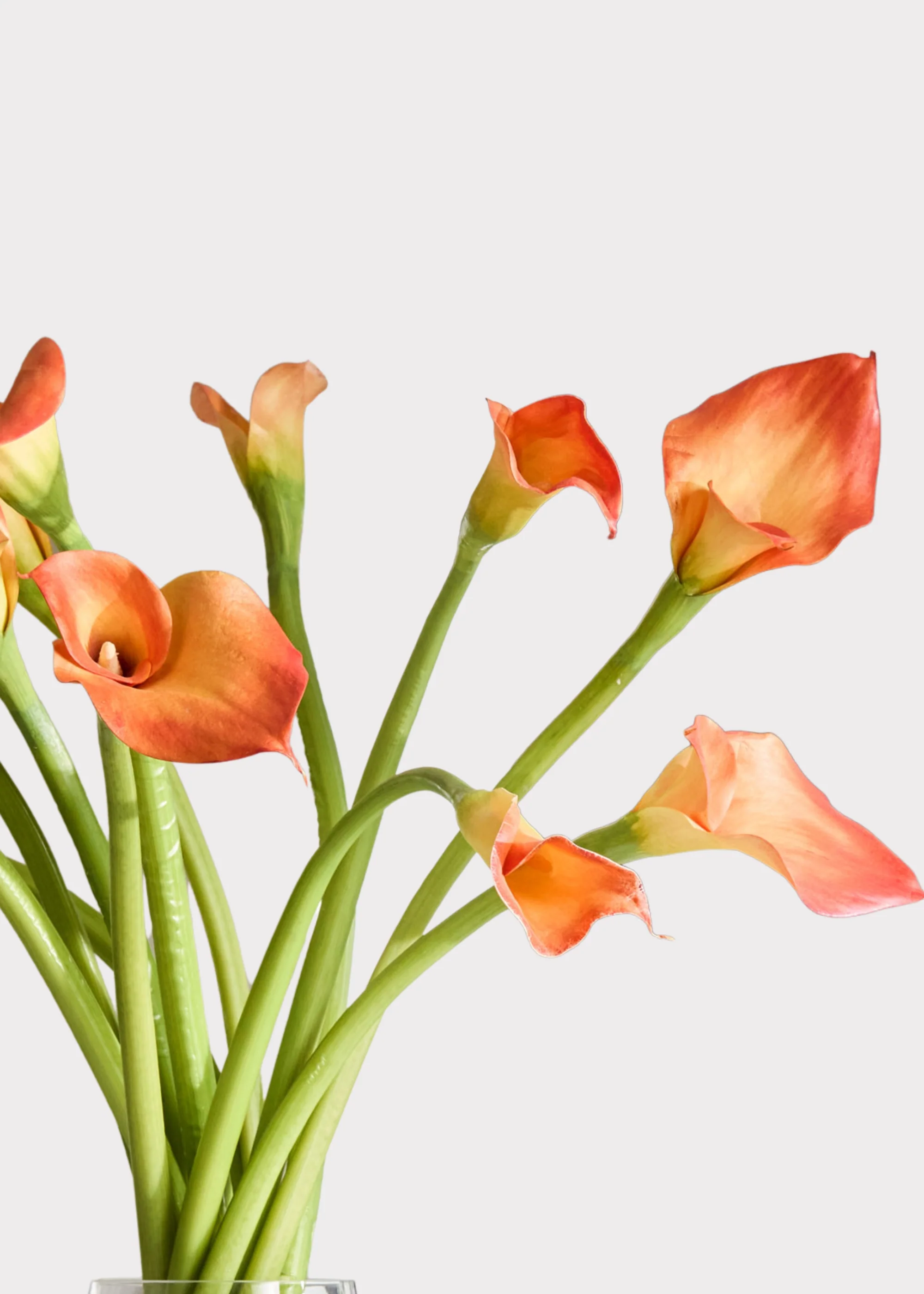 Orange Artificial Calla Lily Arrangement in Glass Vase - 30" - Image 3