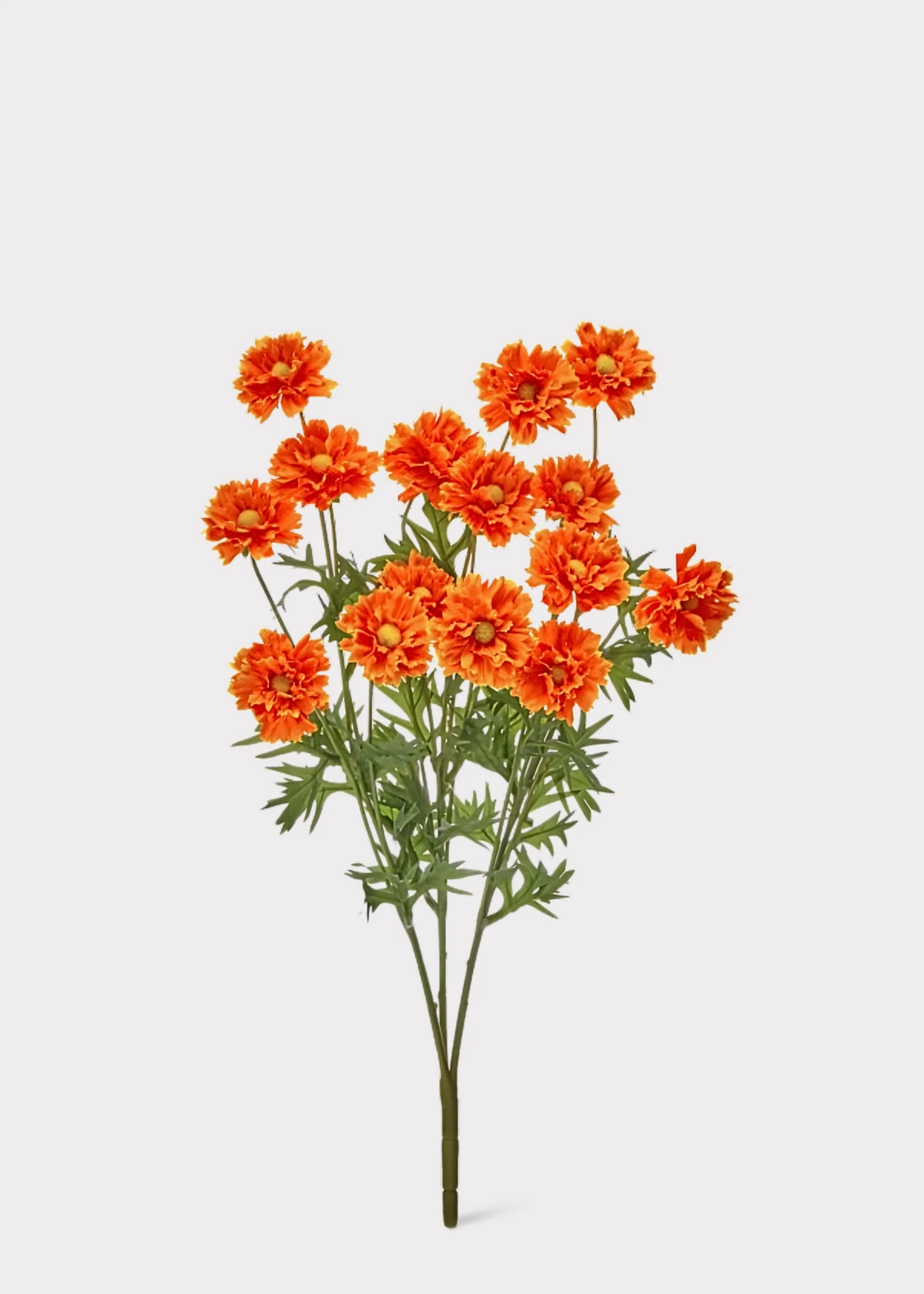 Orange Fake Ruffle Cosmos Flower Bush - 20" - Image 2
