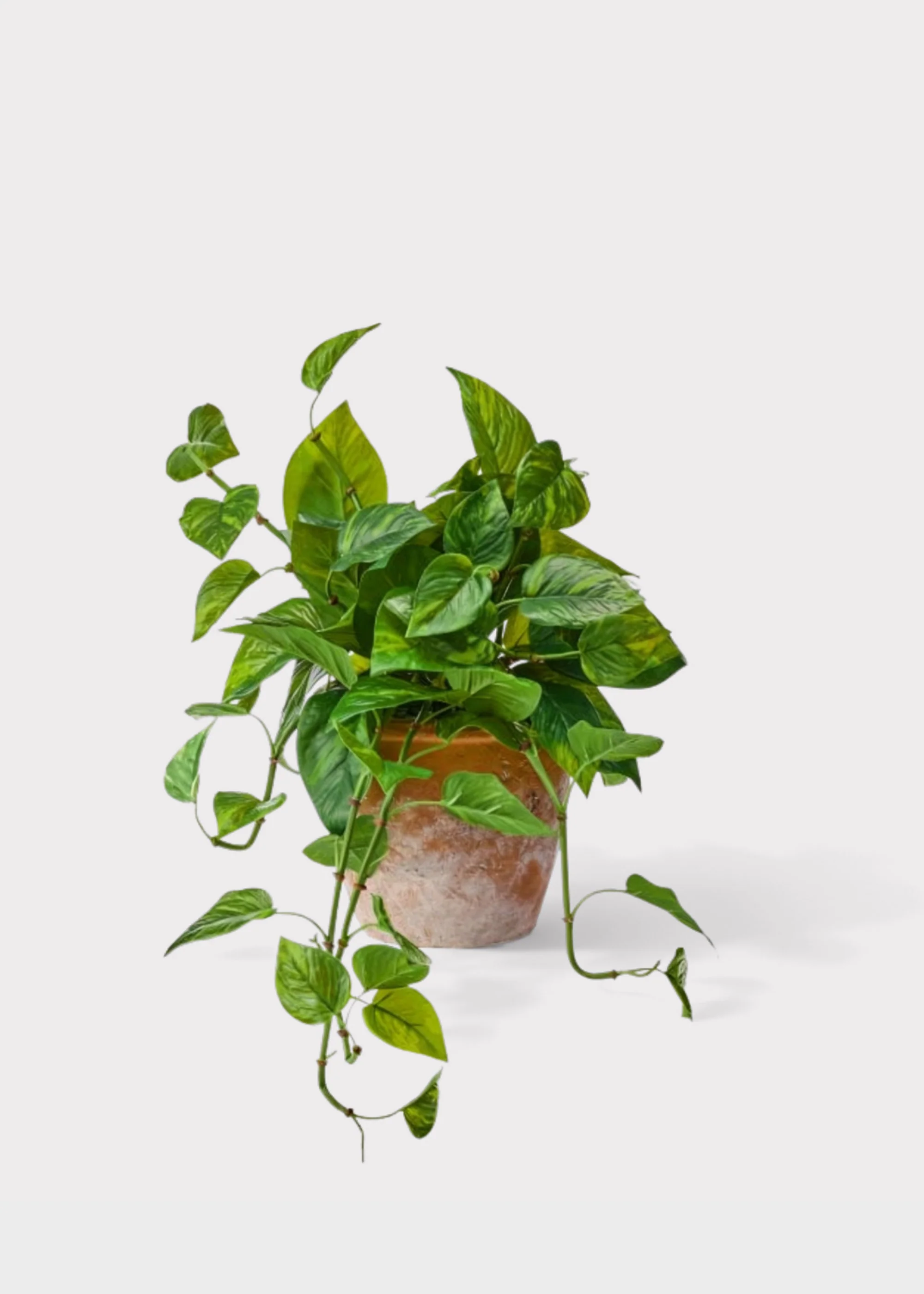 Outdoor UV Treated Pothos Real Touch Potted Plant - 13" - Image 2