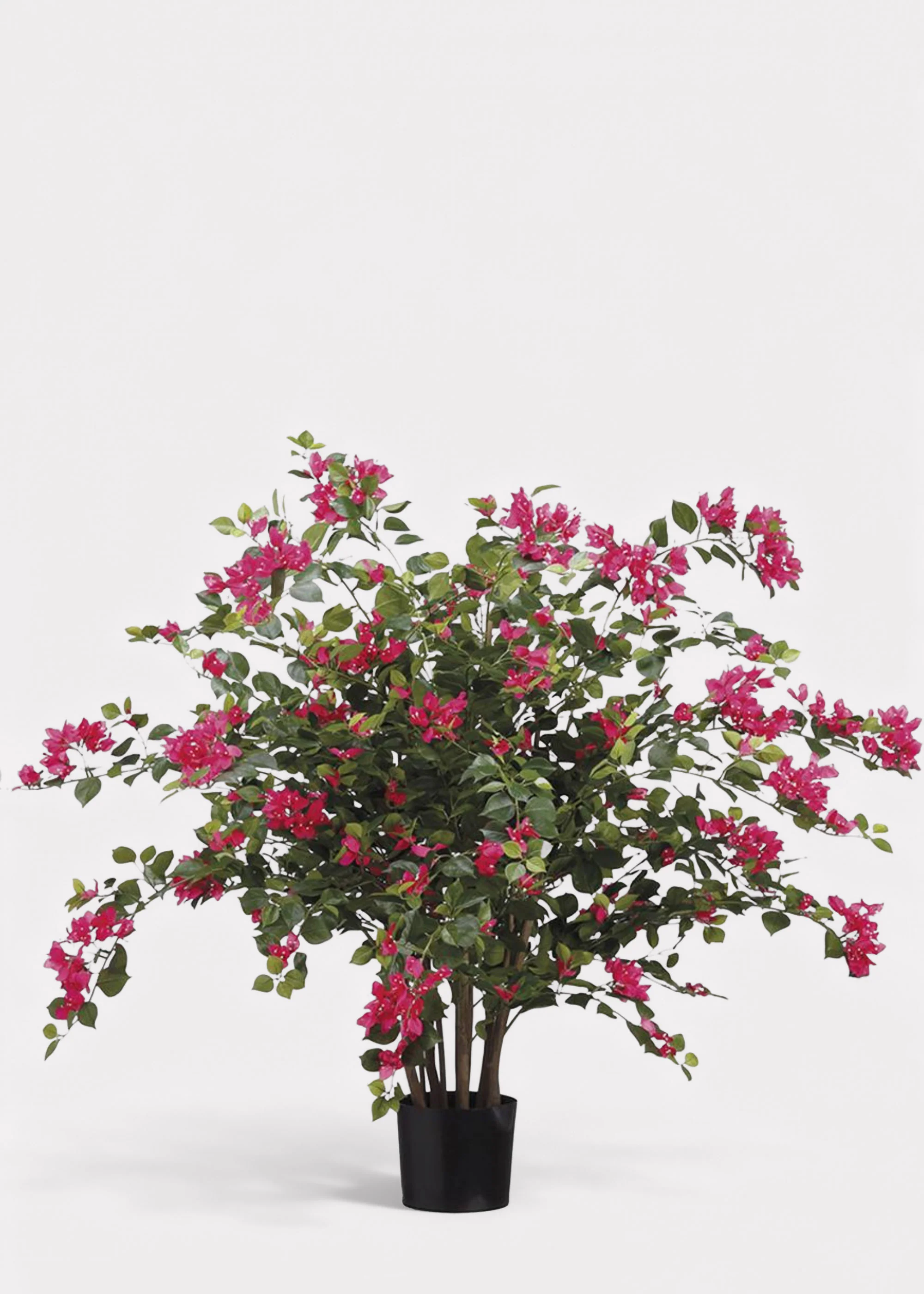 Pack of 2 Fake Blooming Bougainvillea Potted Patio Arrangement  - 39" - Image 3
