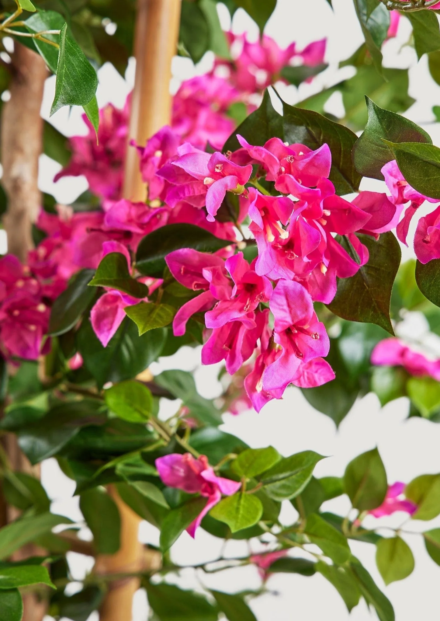 Pack of 2 - Indoor/Covered Outdoor Porch Faux Potted Bougainvillea Trellis - 55" - Image 3