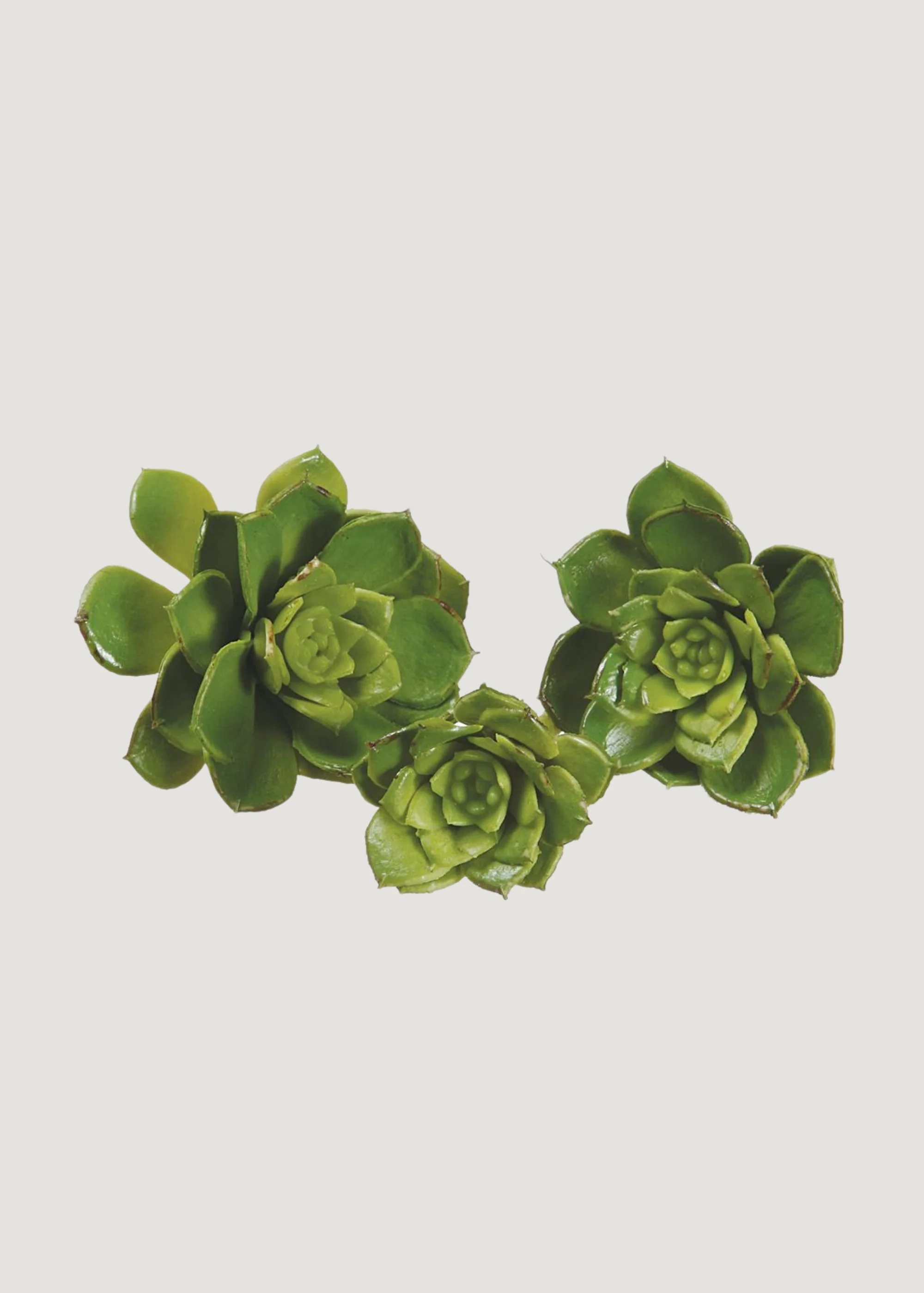 Pack of 3 Fake Echeveria Mini Succulents - 2-3.5" Wide