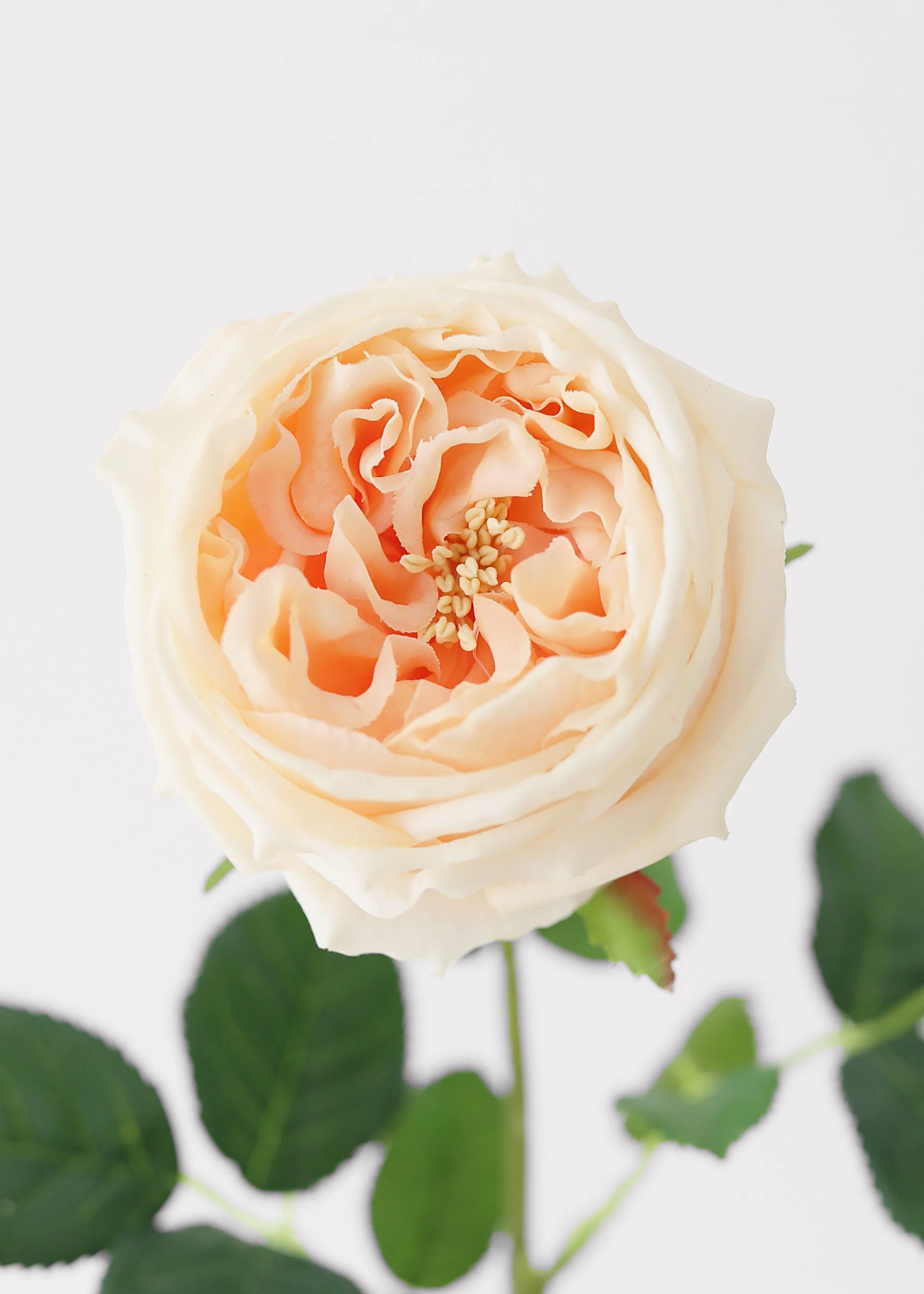 Peach Real Touch Rose Artificial Flower - 24" - Image 2