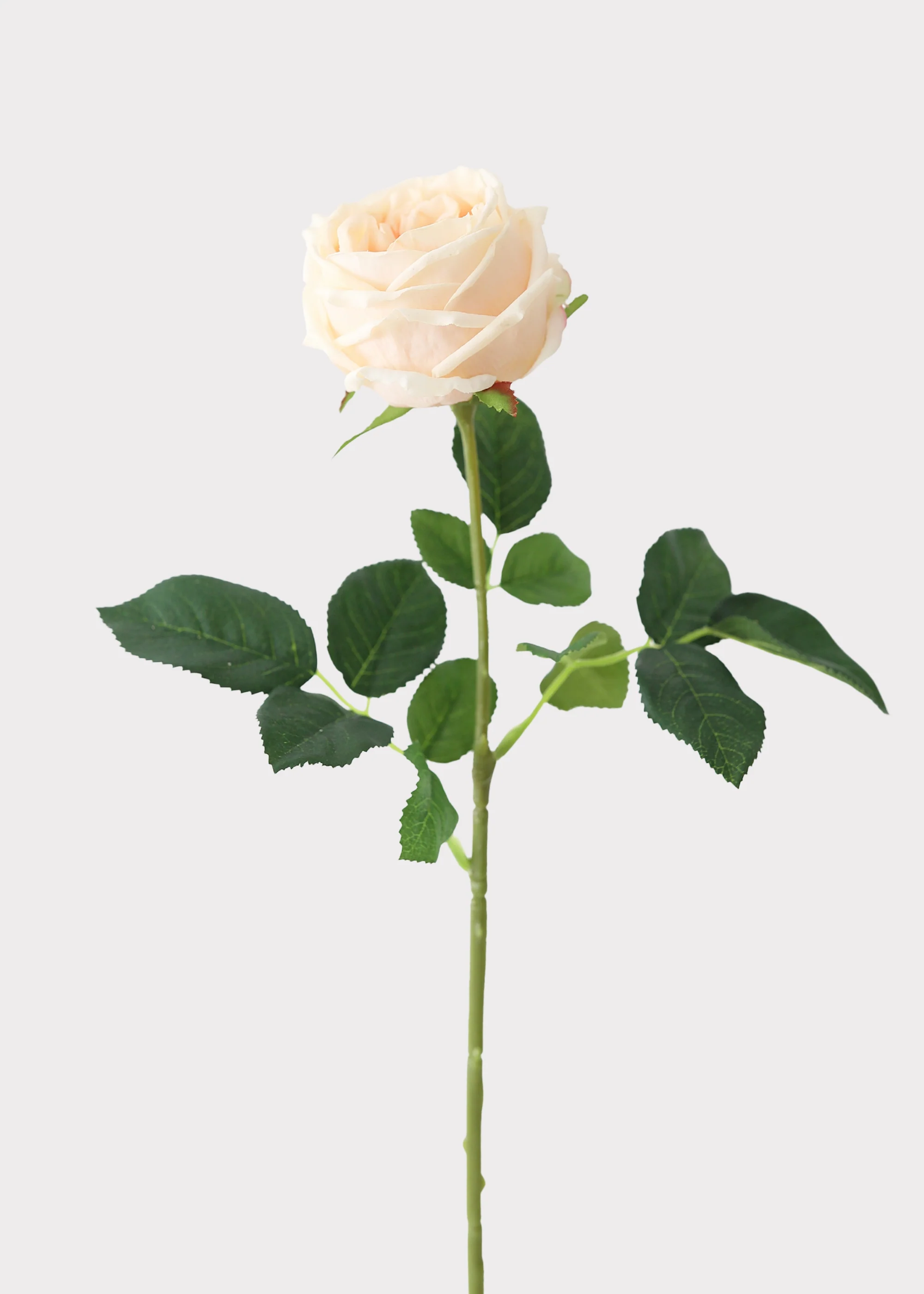Peach Real Touch Rose Artificial Flower - 24" - Image 3