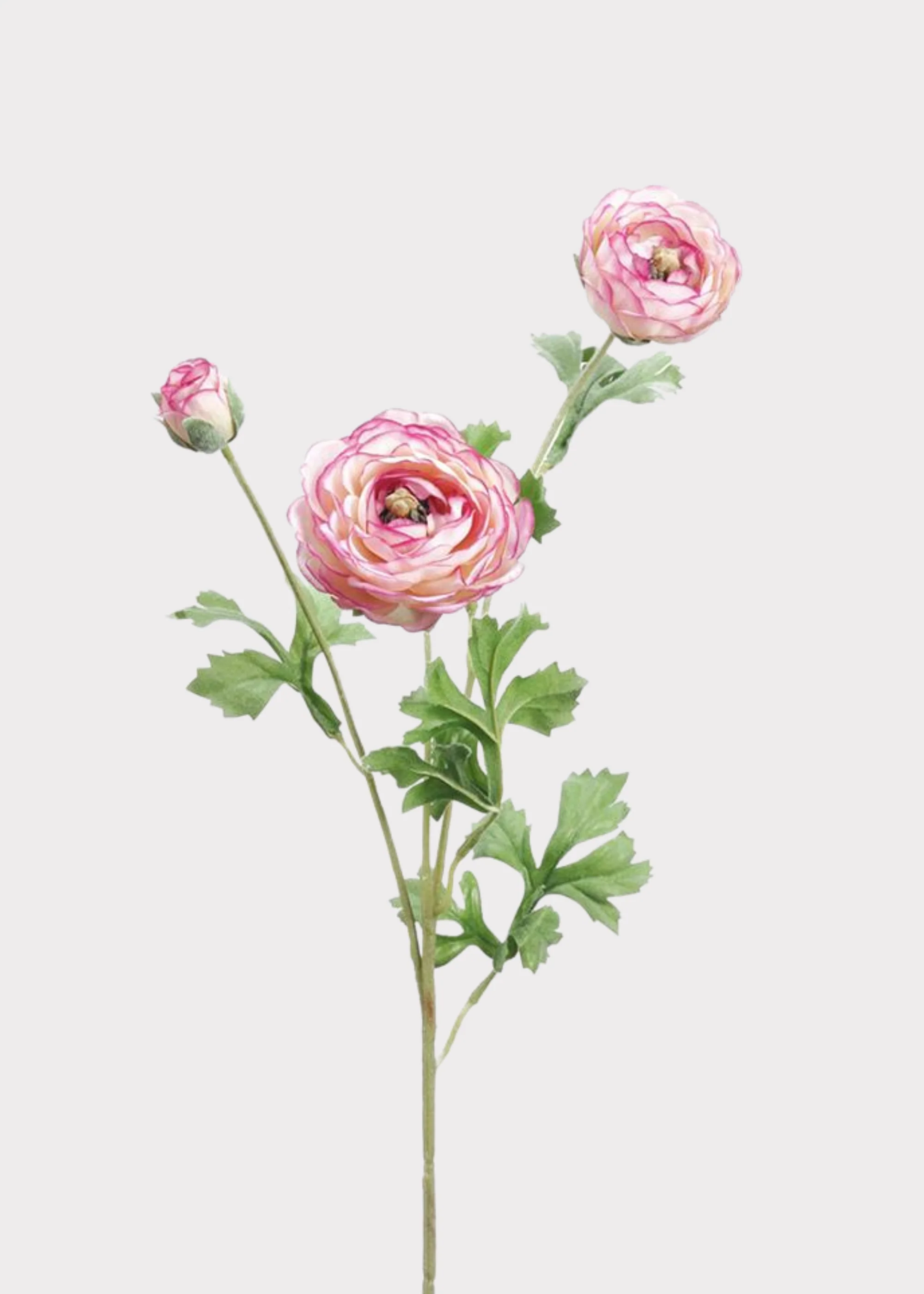 Pink and Cream Fake Ranunculus Flowers - 25.5"