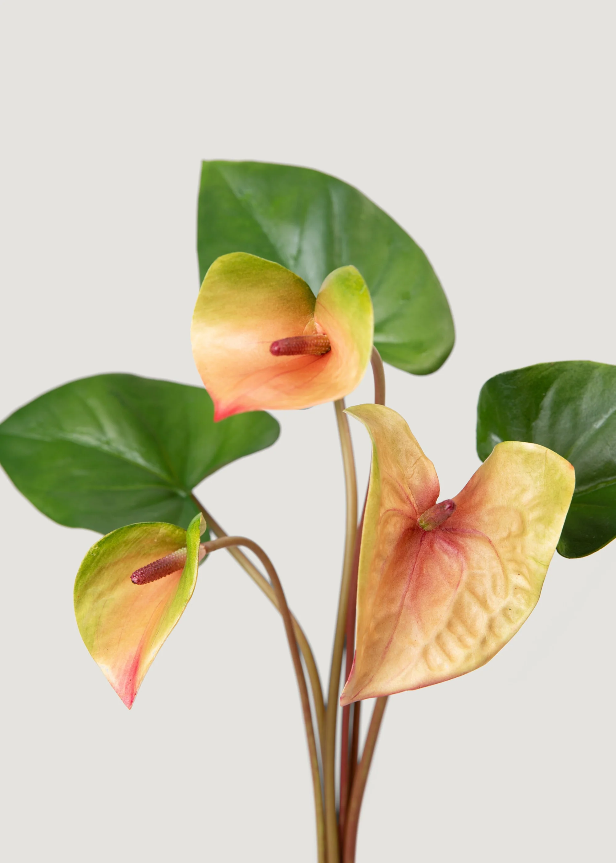 Pink and Green Fake Tropical Flower Anthurium Bundle - 25" - Image 2