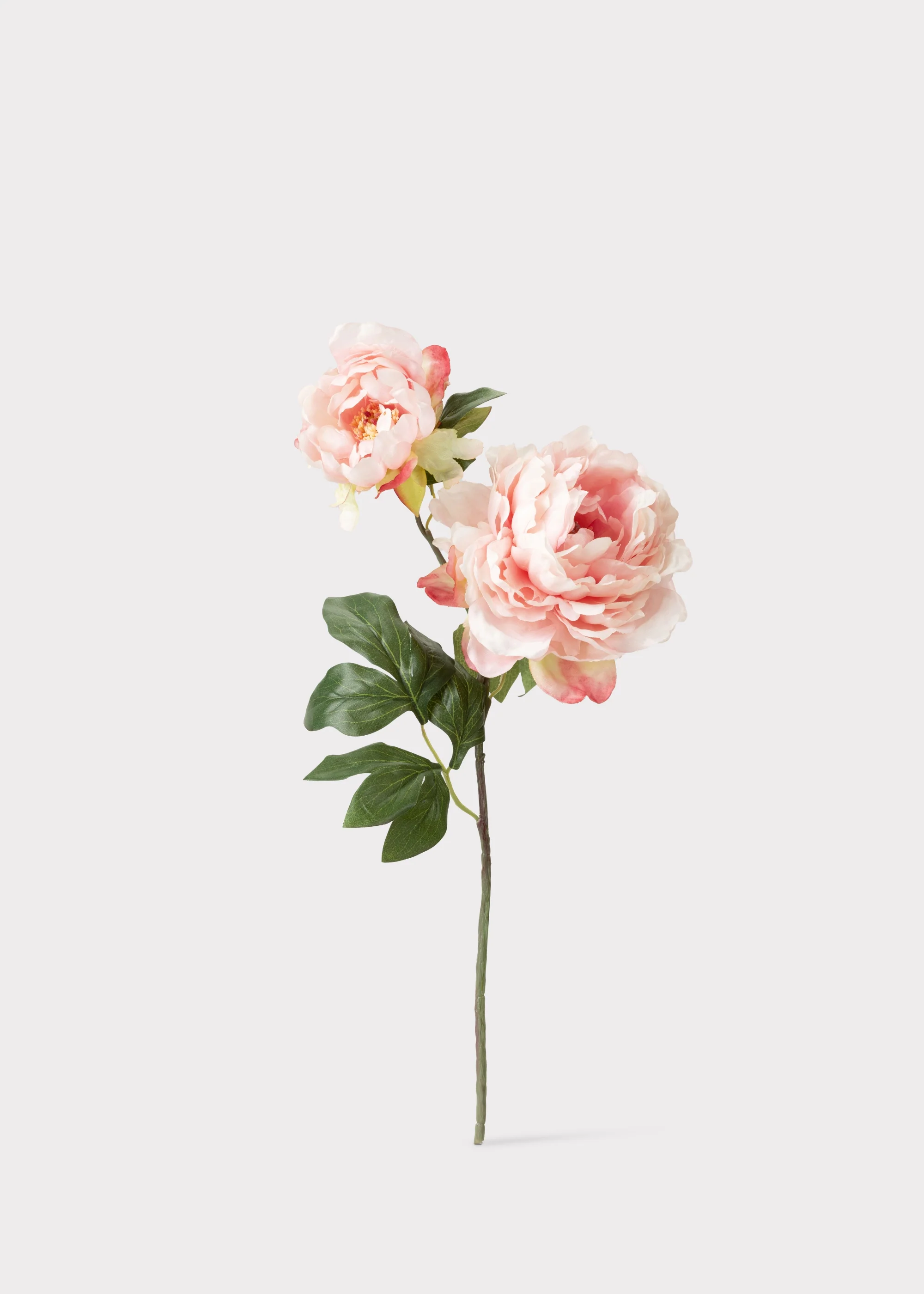 Pink Artificial Blooming Peony with Bud - 19.5" - Image 2