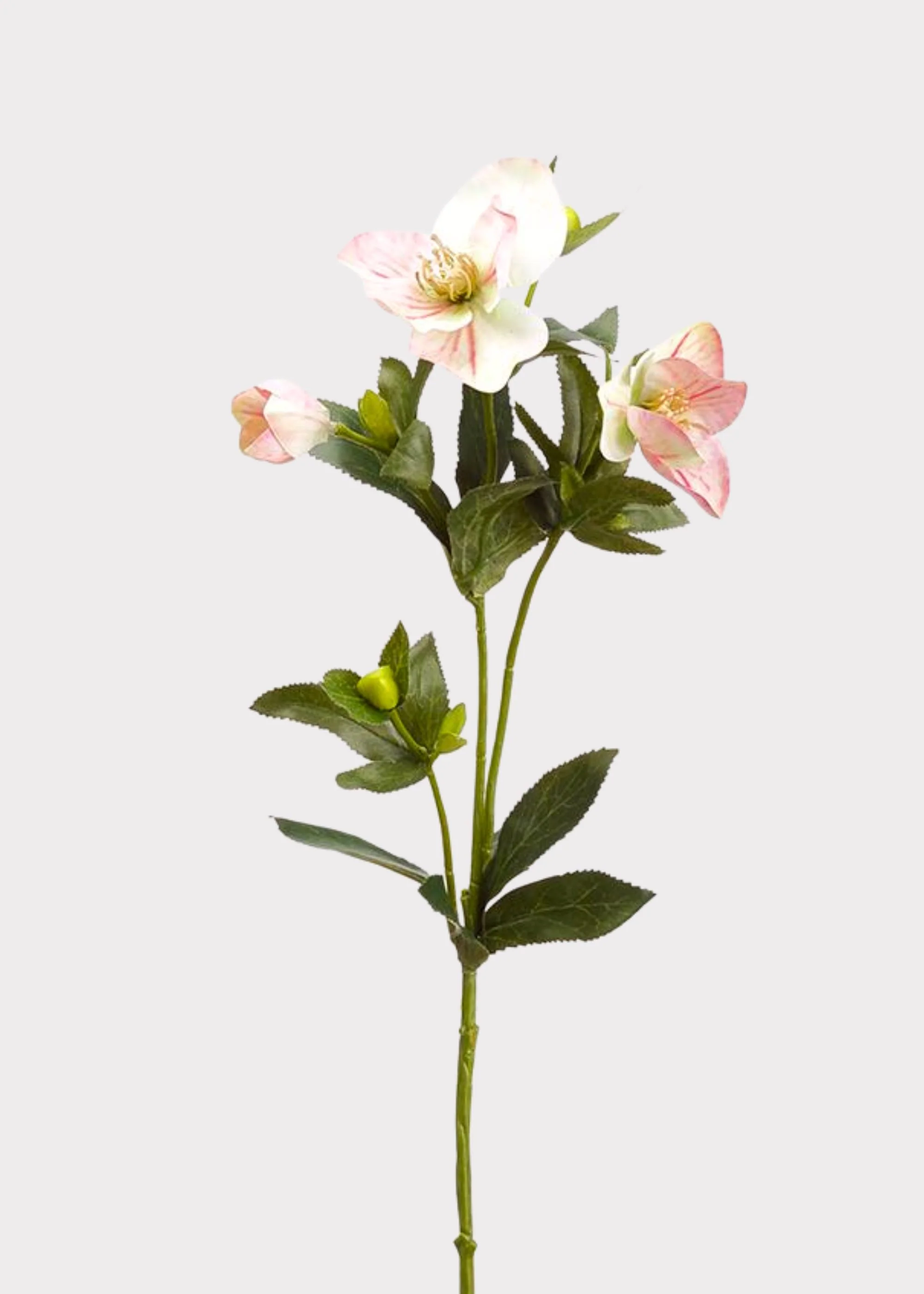 Pink Fake Blooming Hellebore Flower Spray - 25"