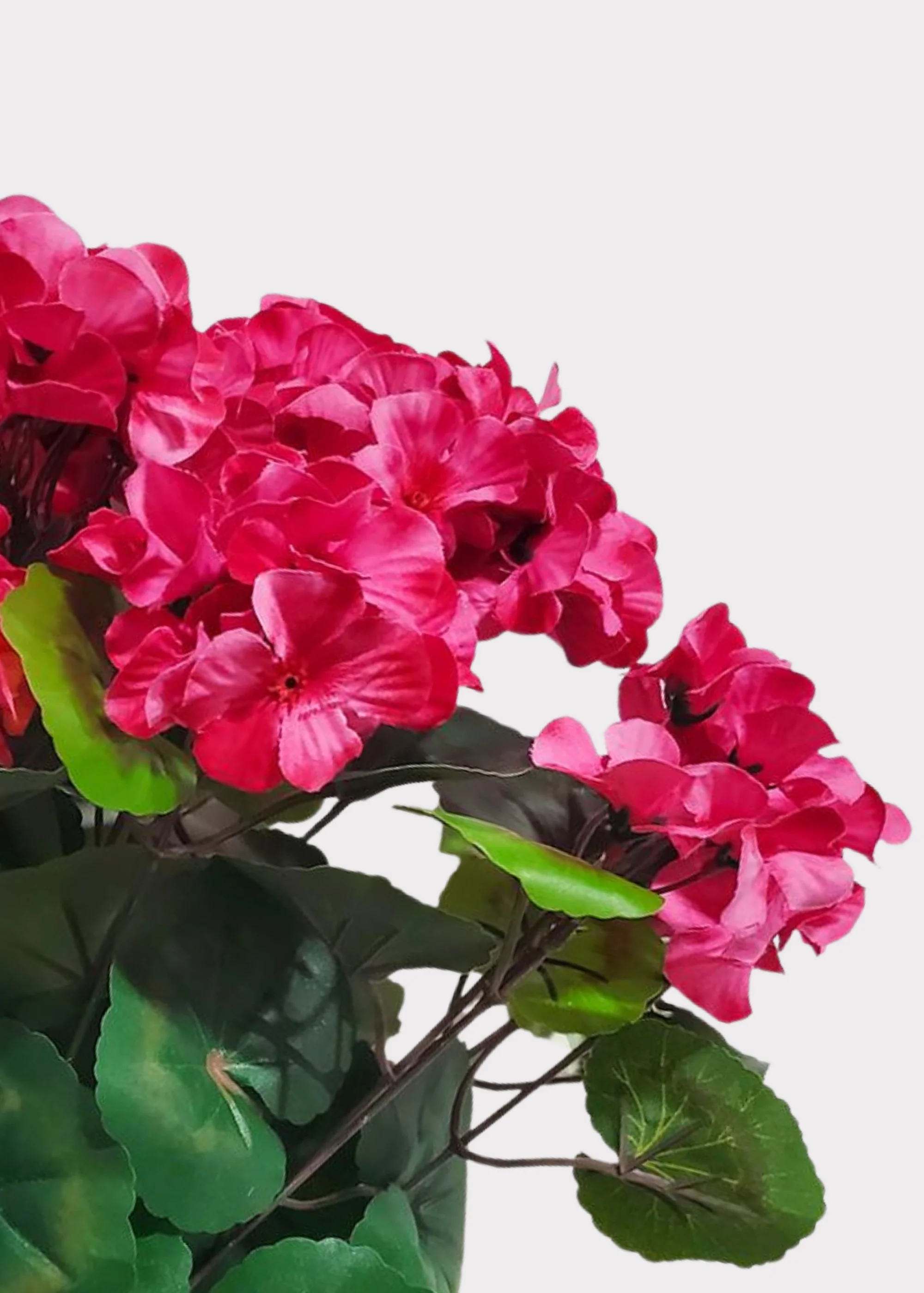 Pink Fuchsia Fake Geranium UV Treated Indoor/Outdoor Bush - 18.5" - Image 2