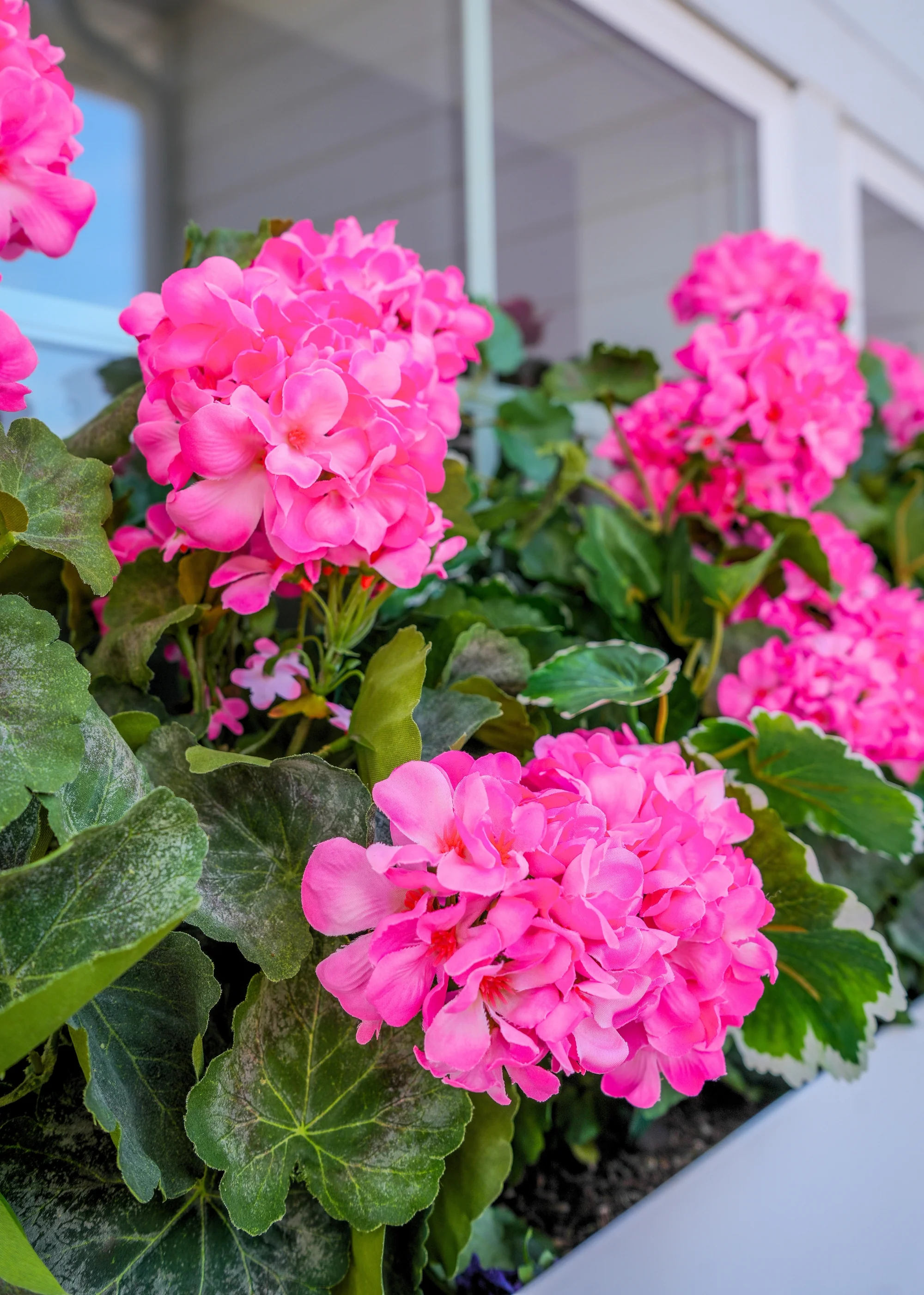 Pink Fake Geranium Indoor/Outdoor Water Resistant Bush - 22" - Image 4