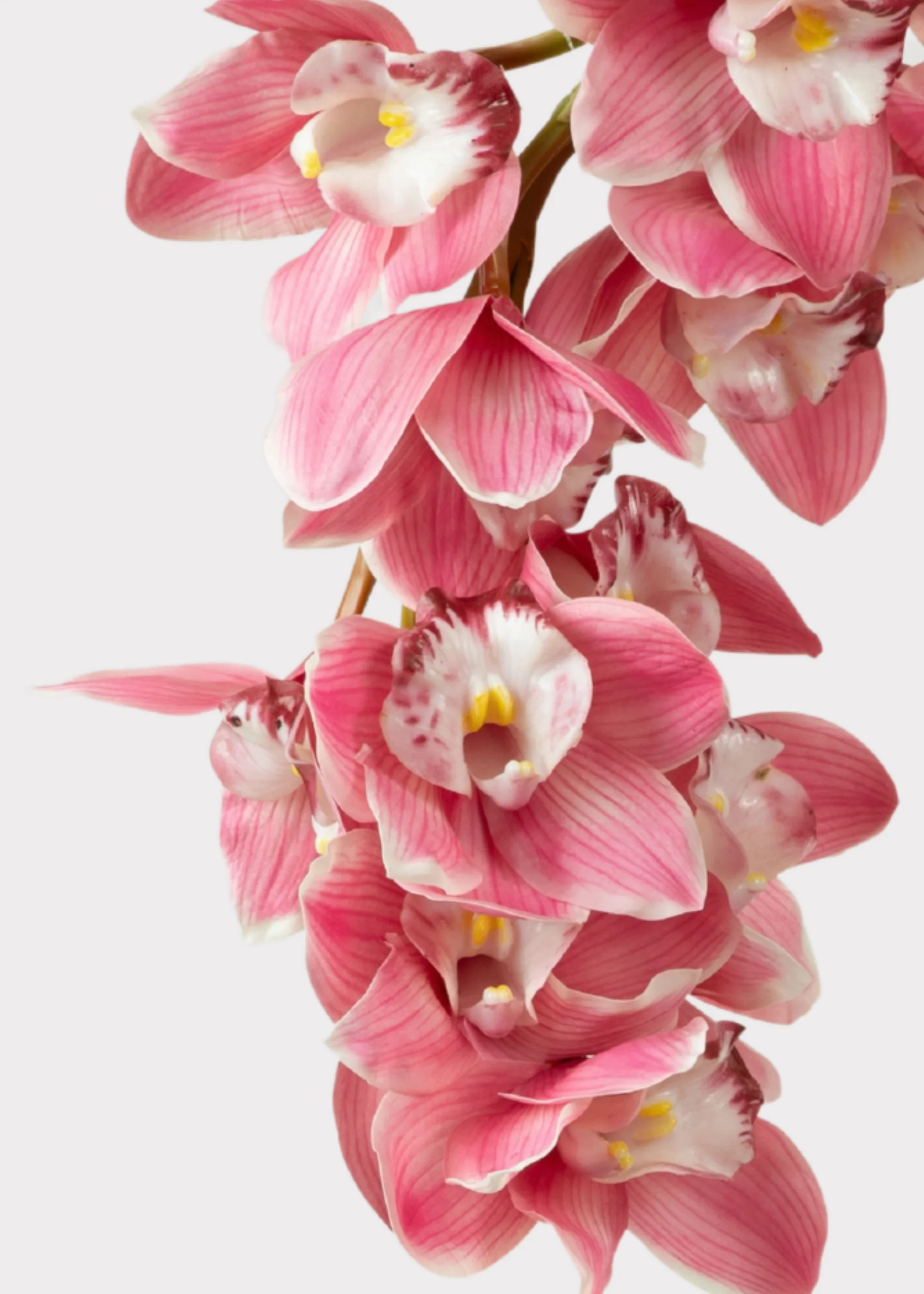Pink Large Natural Touch Cymbidium Orchid - 45" - Image 2
