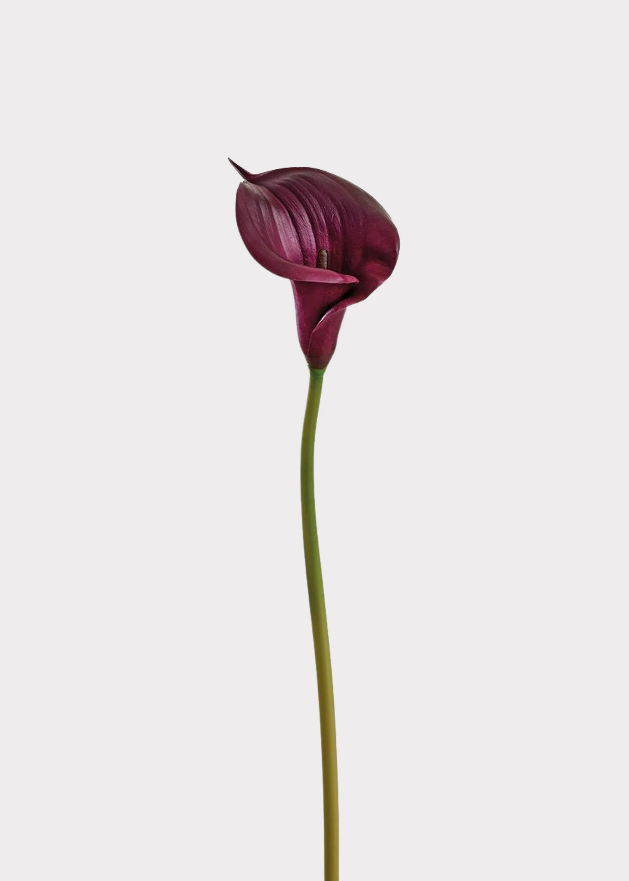 Plum Purple Artificial Calla Lily Real Touch Flower - 33"