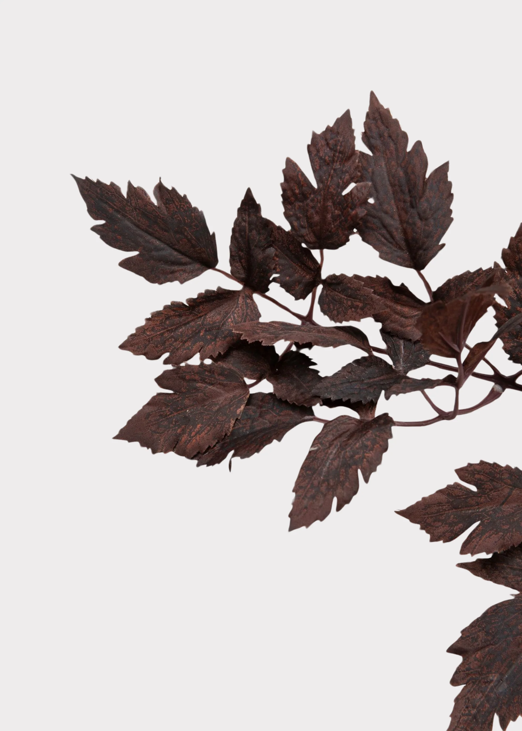 Plum Fake Cimicifuga Ramosa Leaves - 31" - Image 4