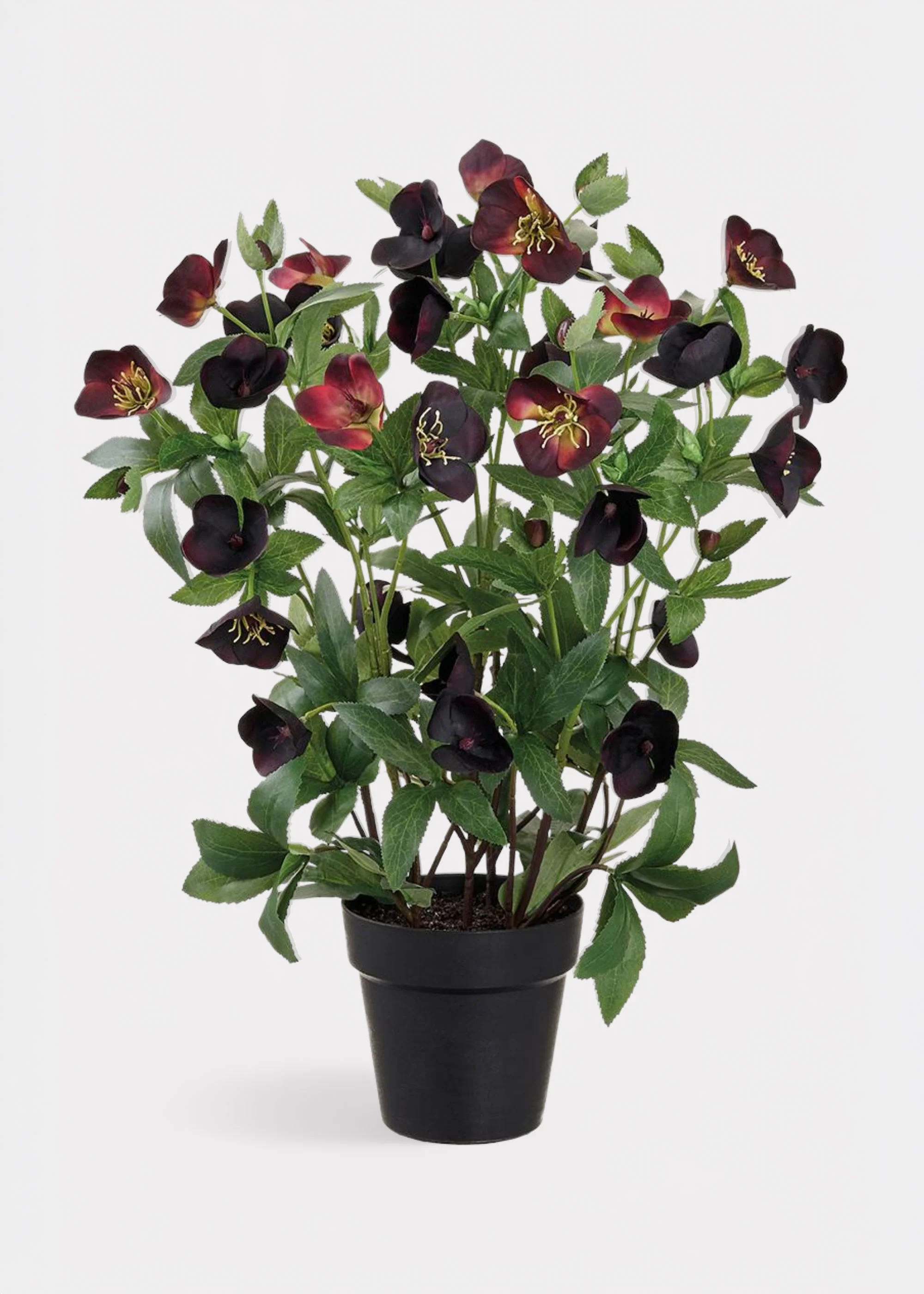 Plum Purple Helleborus Fake Flower Arrangement in Pot - 22"