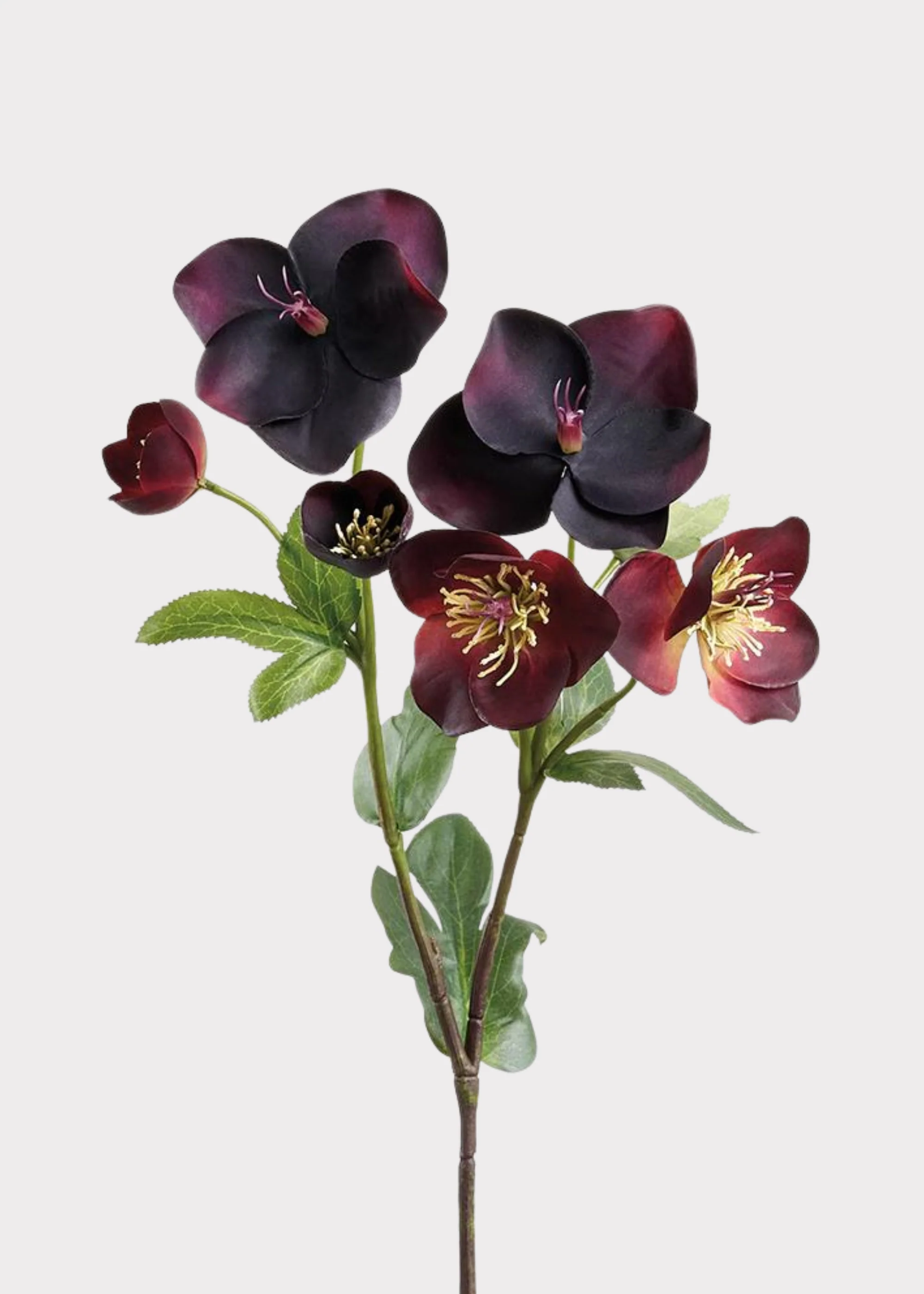 Plum Purple Real Touch Helleborus Artificial Flowers - 17"