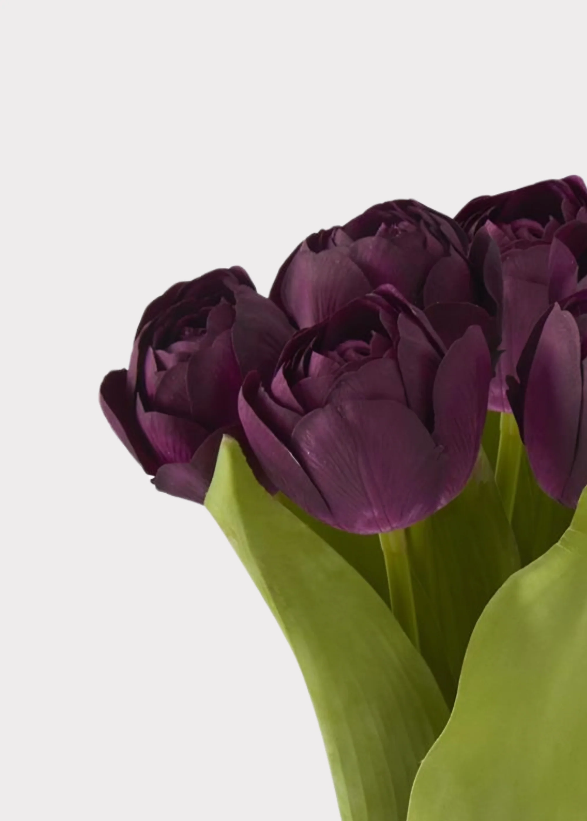 Plum Purple Real Touch Tulip Fake Flower Bundle of 6 - 13" - Image 3