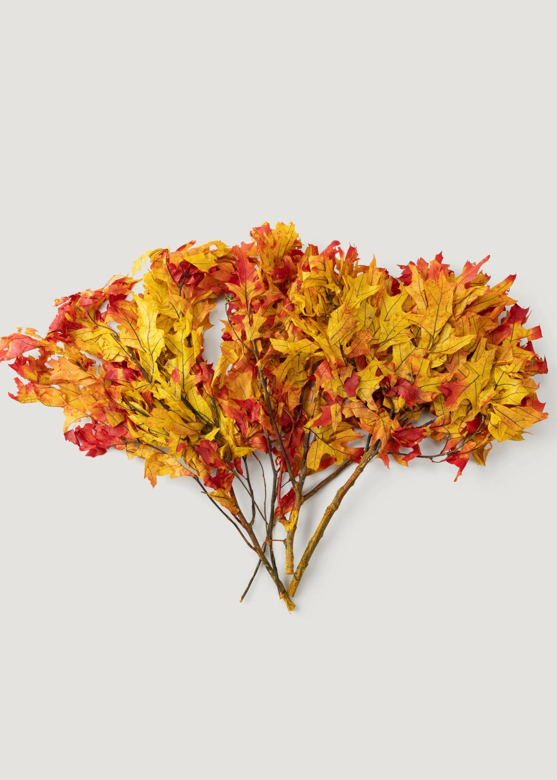 Preserved Fall Oak Leaves in Autumn Red Orange - 1 lb - 22" Long - Image 2