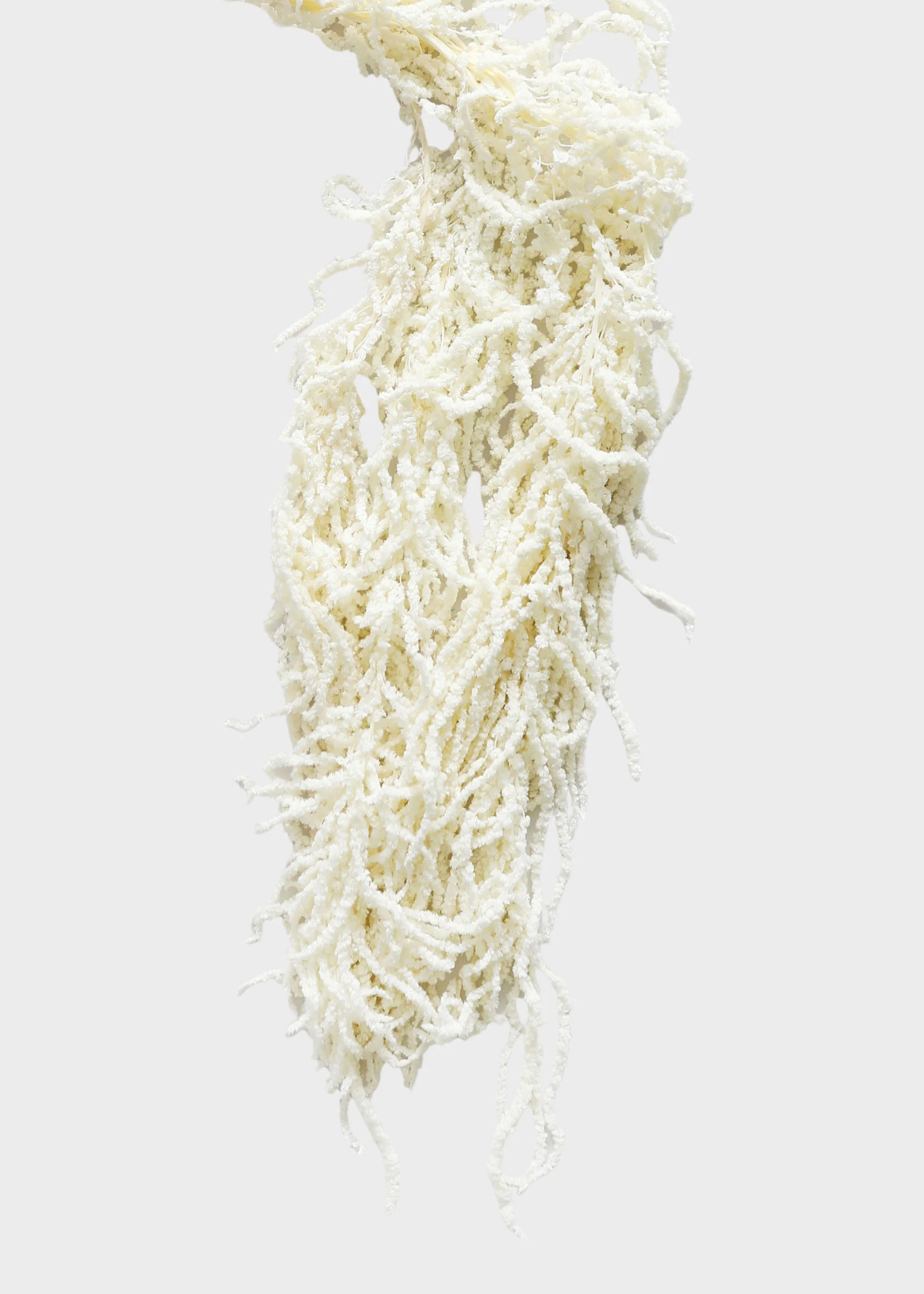 Preserved Hanging Amaranthus Flowers in White - 32-40" - Image 3