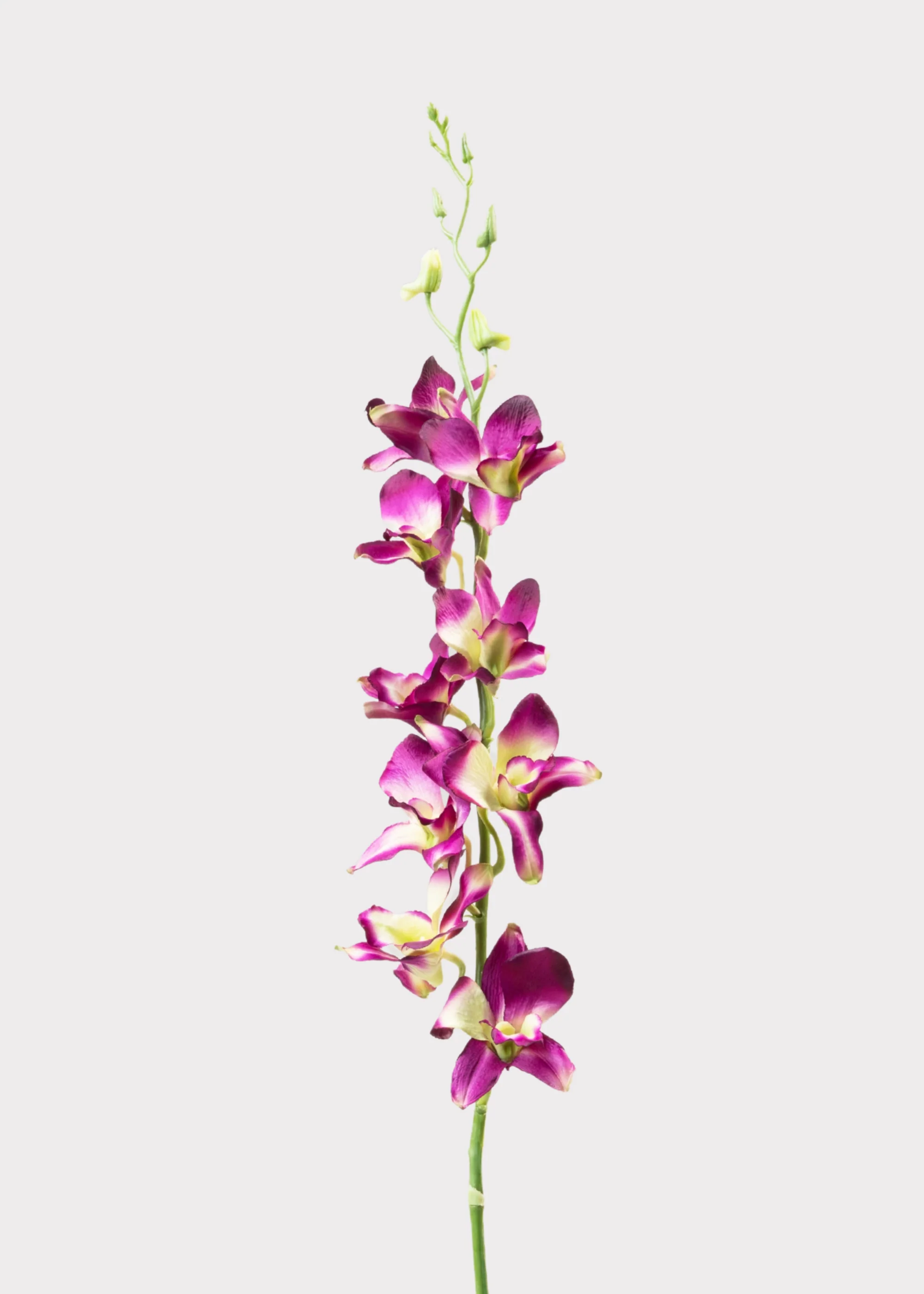 Purple Artificial Dendrobium Orchid Flower Branch - 35.5"