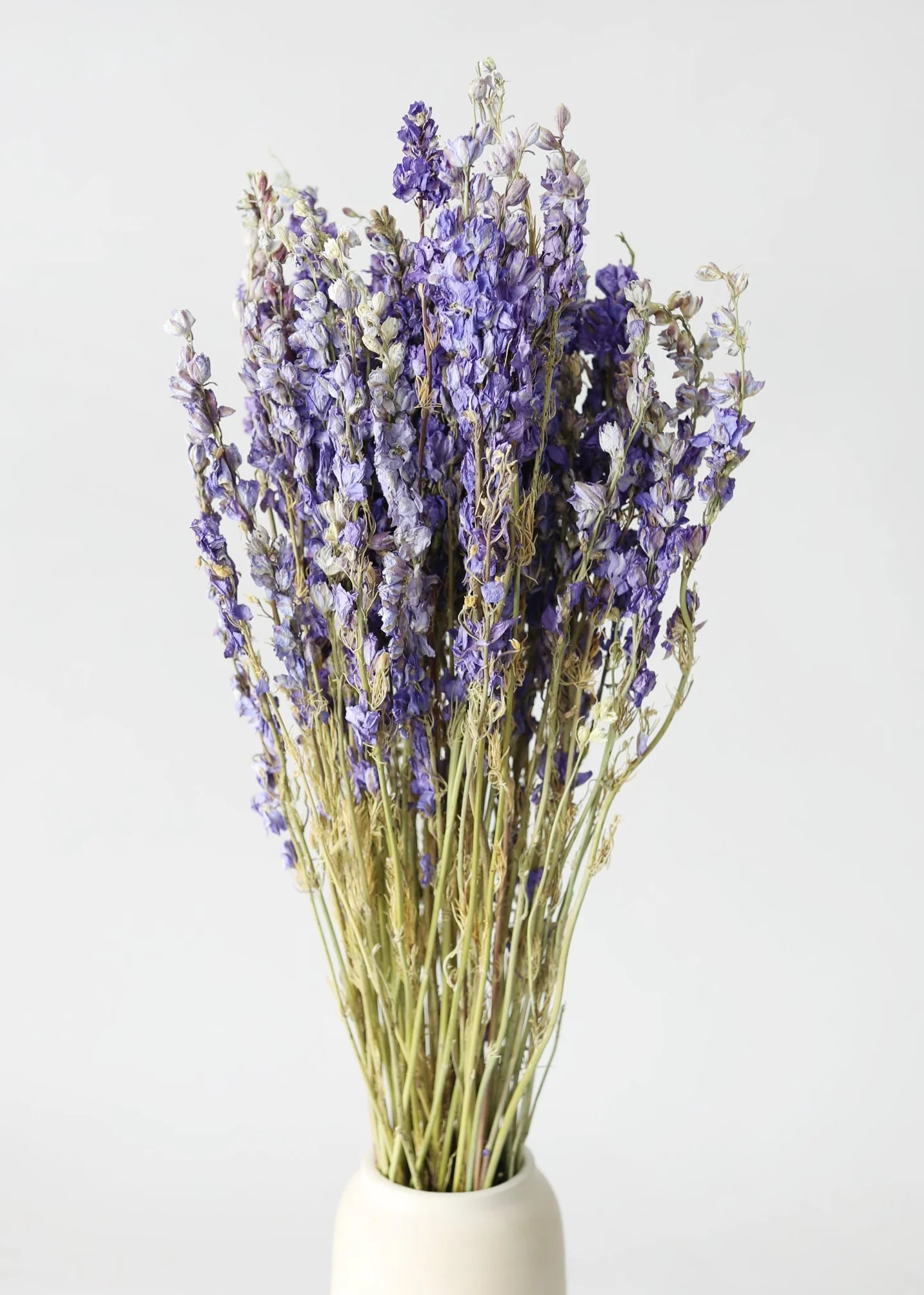 Purple Dried Larkspur Wildflower Bundle of 10 Stems - Image 3