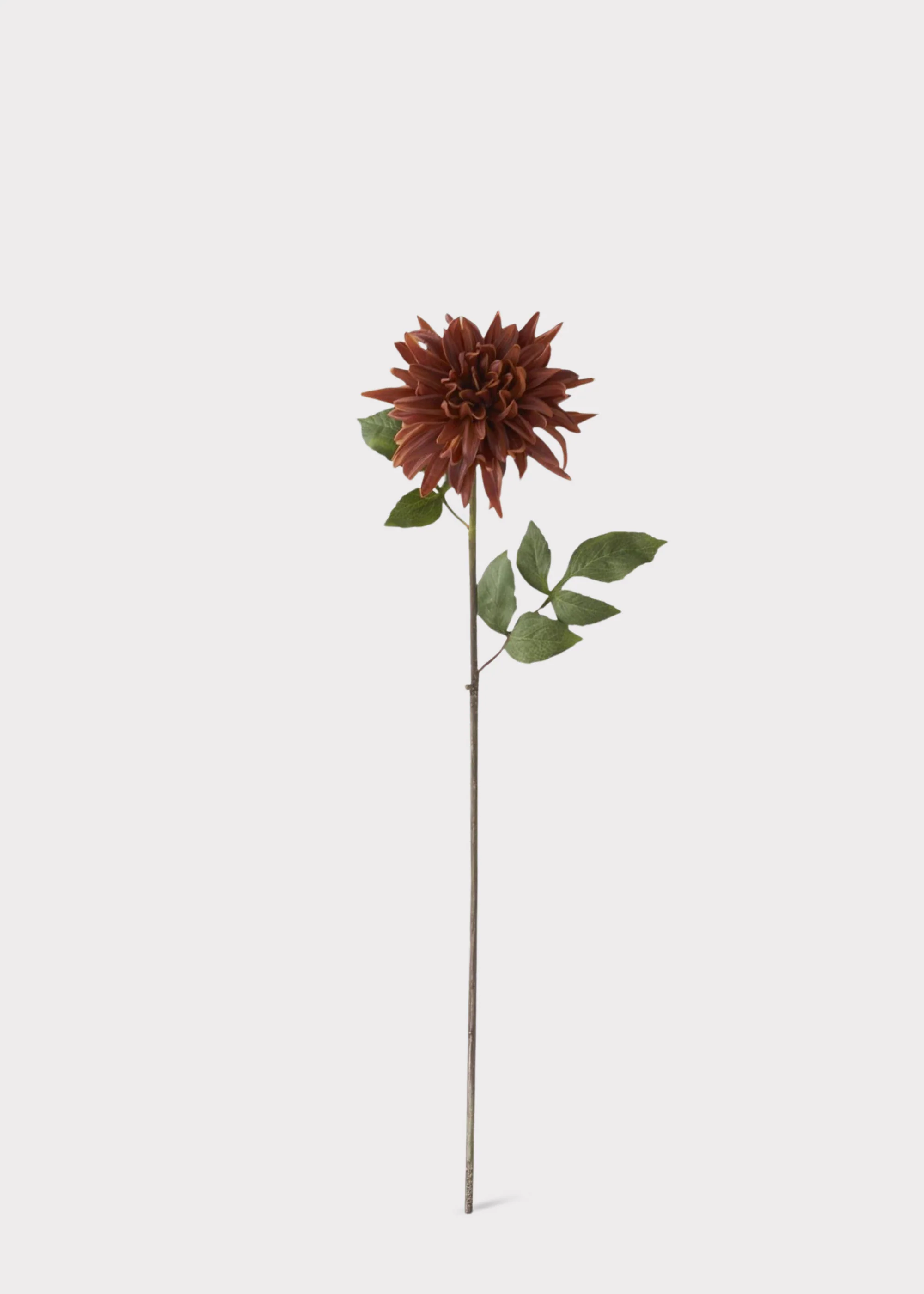 Real Touch Dahlia Fake Flower in Earthy Brown - 28.25" - Image 2
