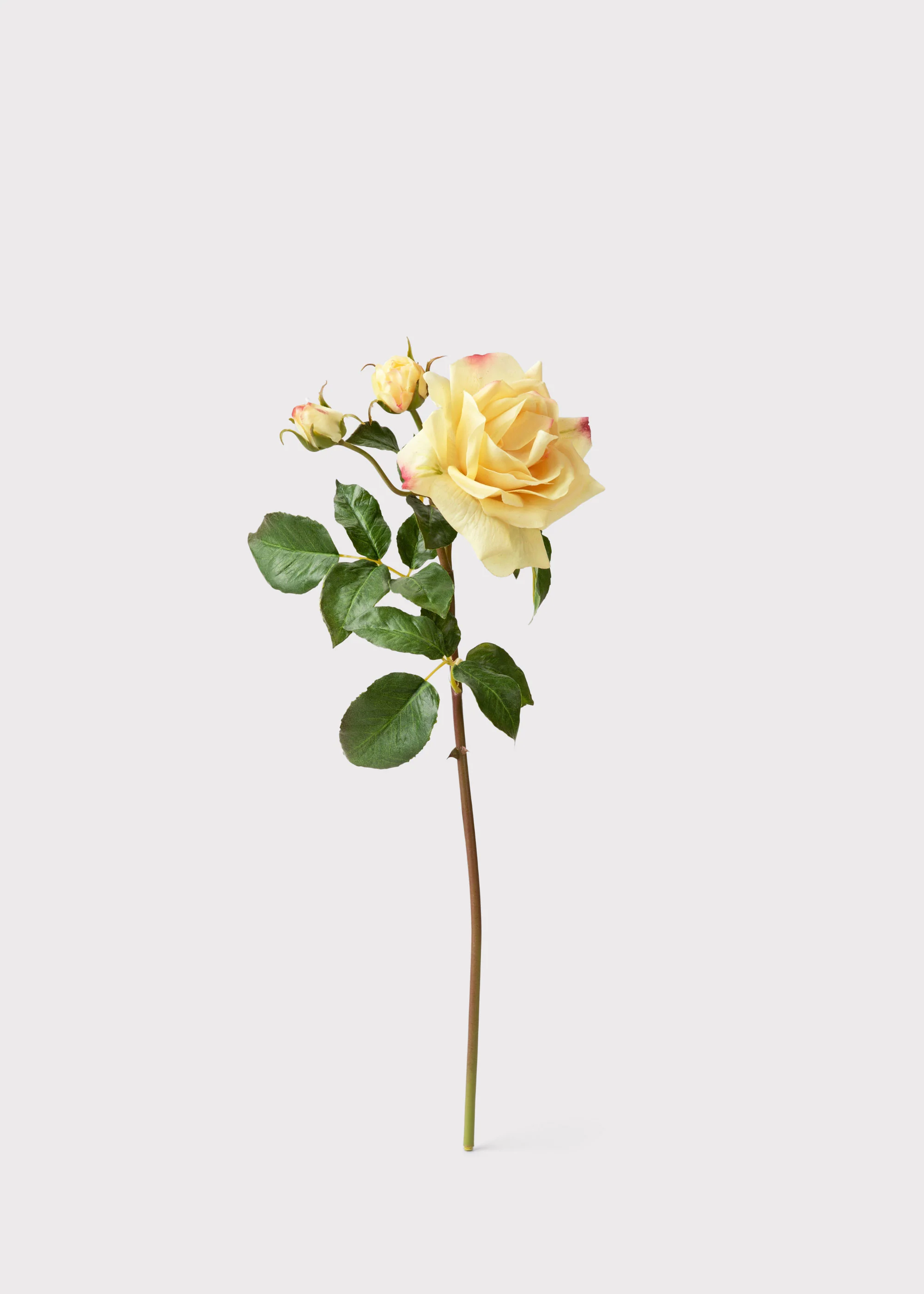 Artificial Real Touch Juliet English Rose in Yellow - 22" - Image 3