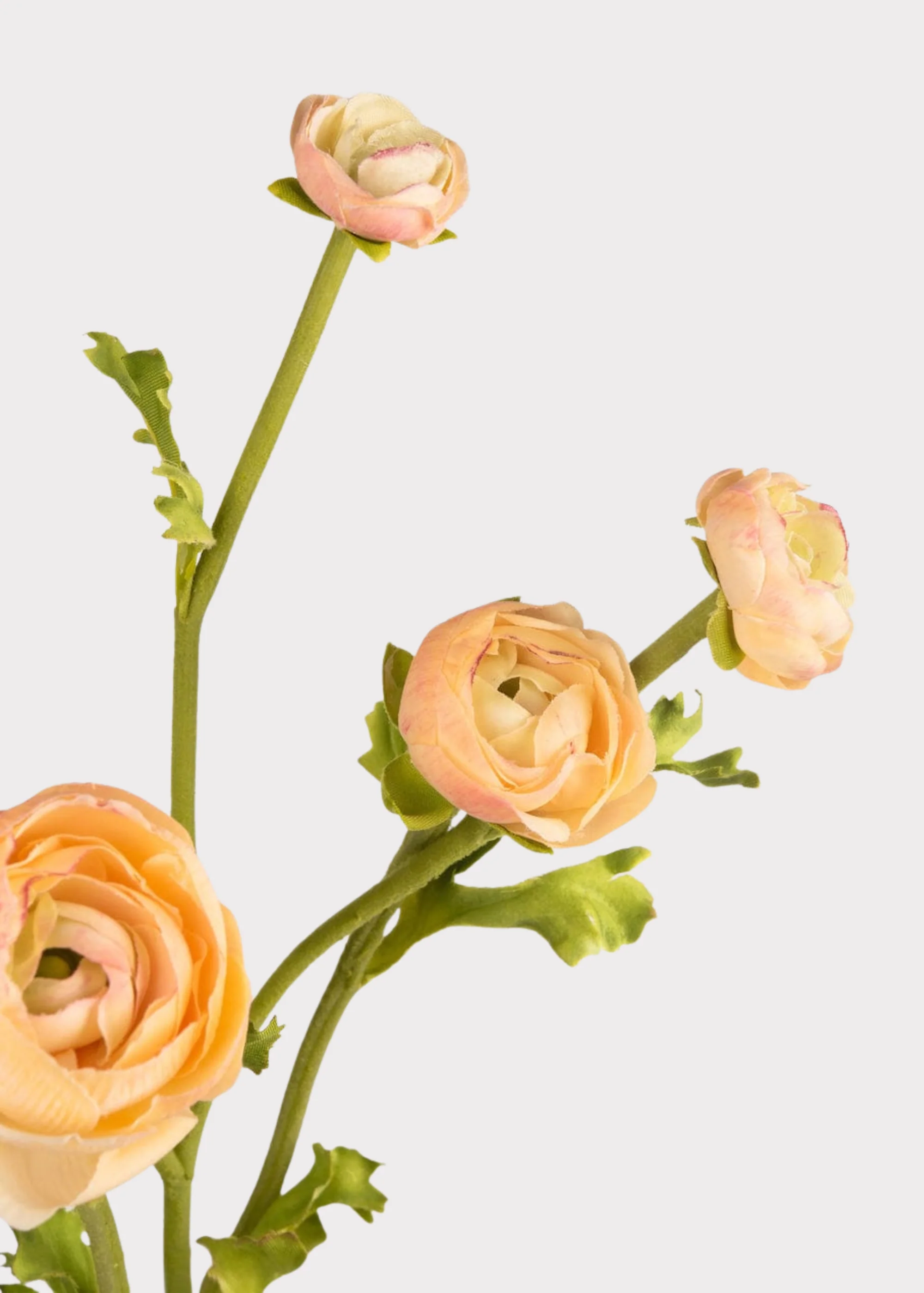 SAVE - Real Touch Faux Ranunculus in Peach - 21.5" - Image 4