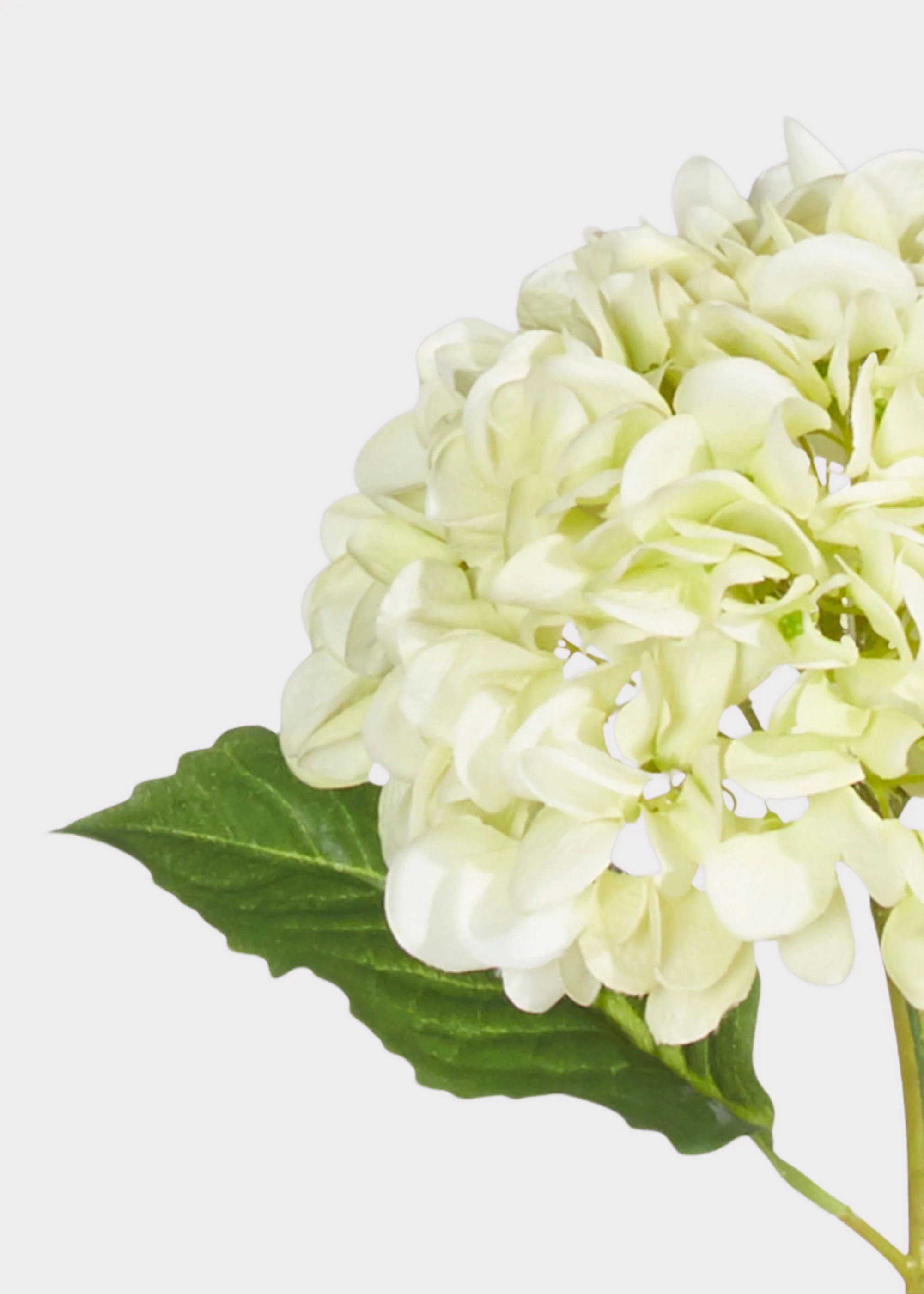 Real Touch Hydrangea Fake Flower in Light Green - 20.5" - Image 2