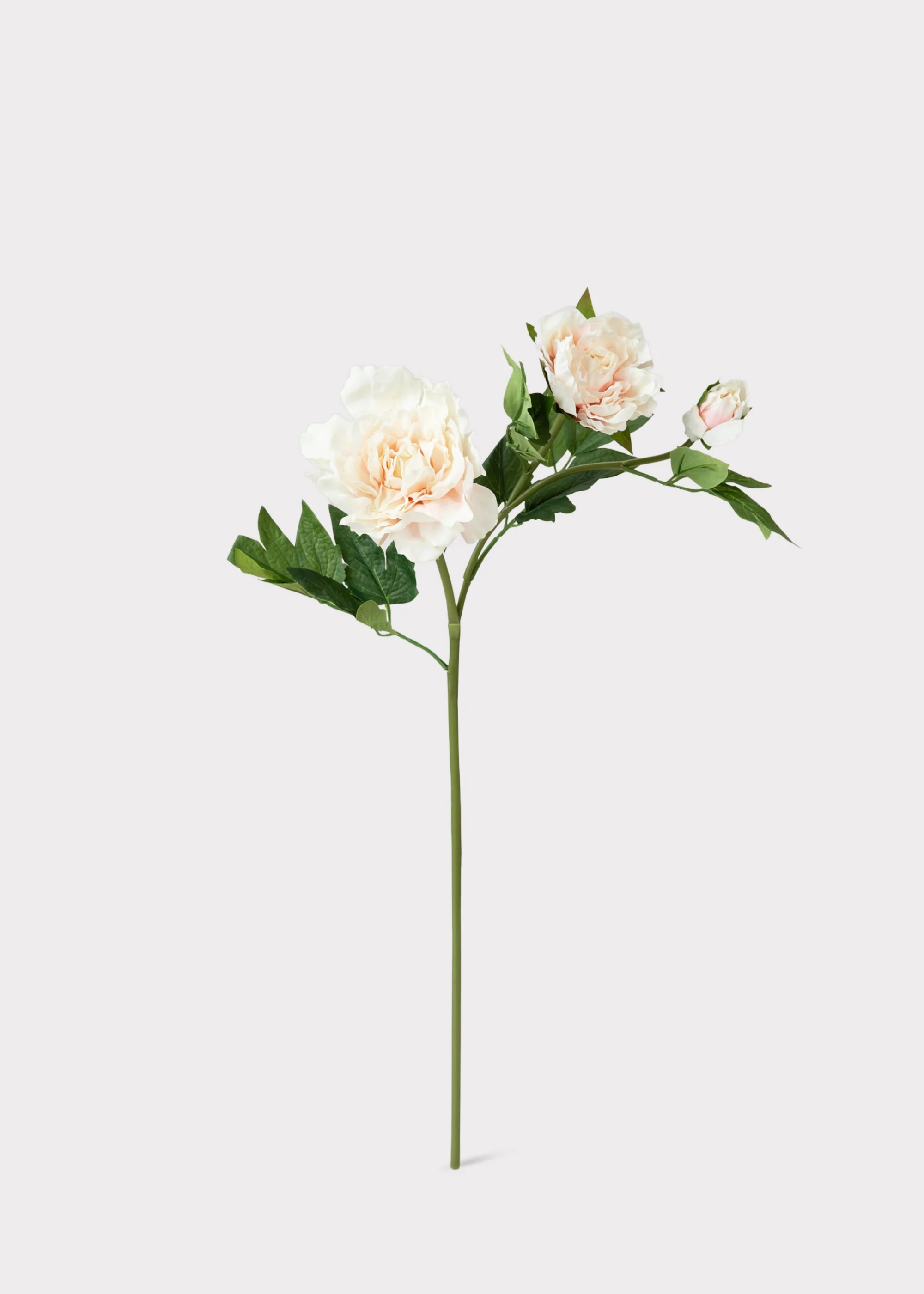 Real Touch Peony Flowers in Soft Pink - 26" - Image 4