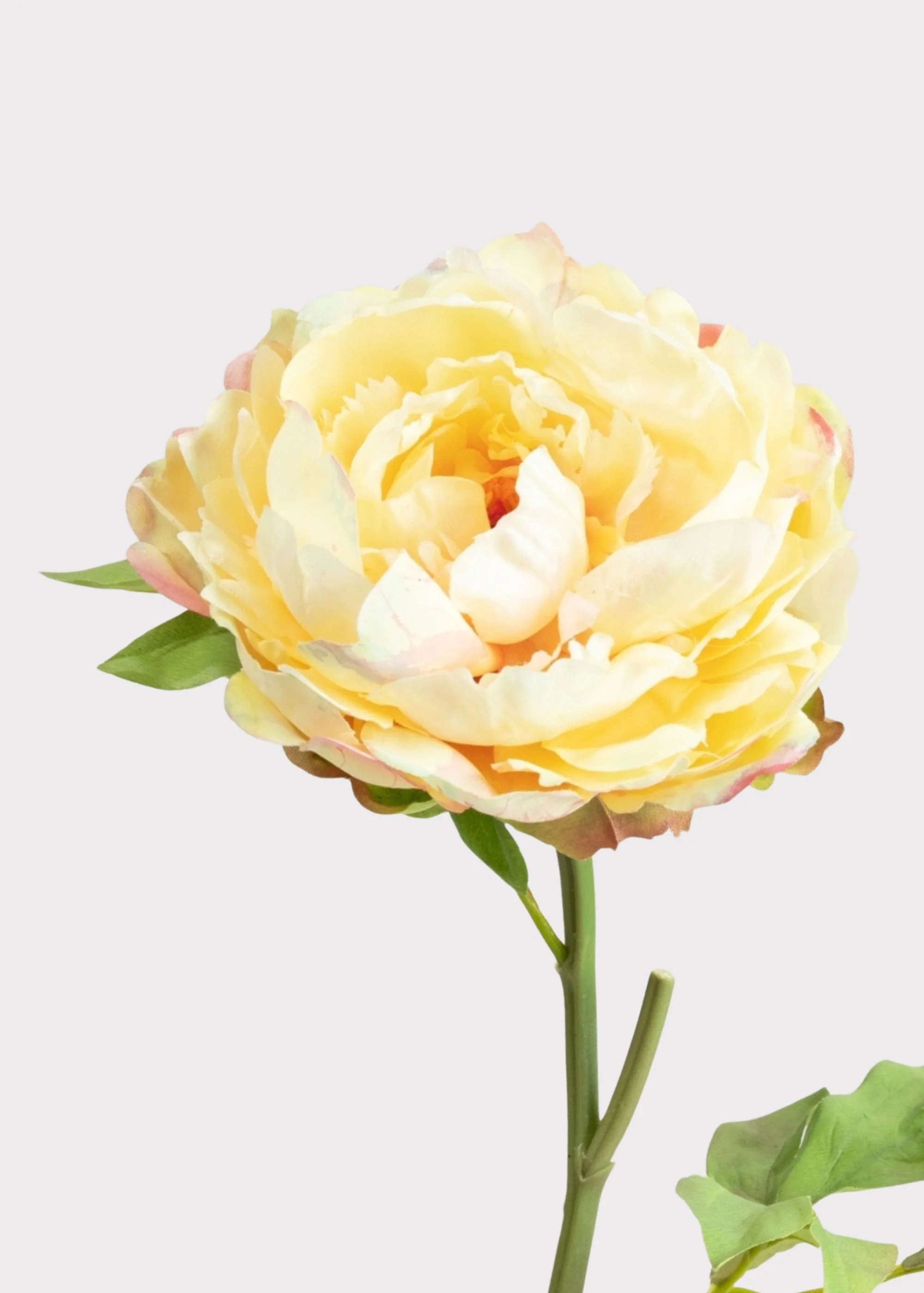 Real Touch Peony in Pale Yellow - 20" - Image 4
