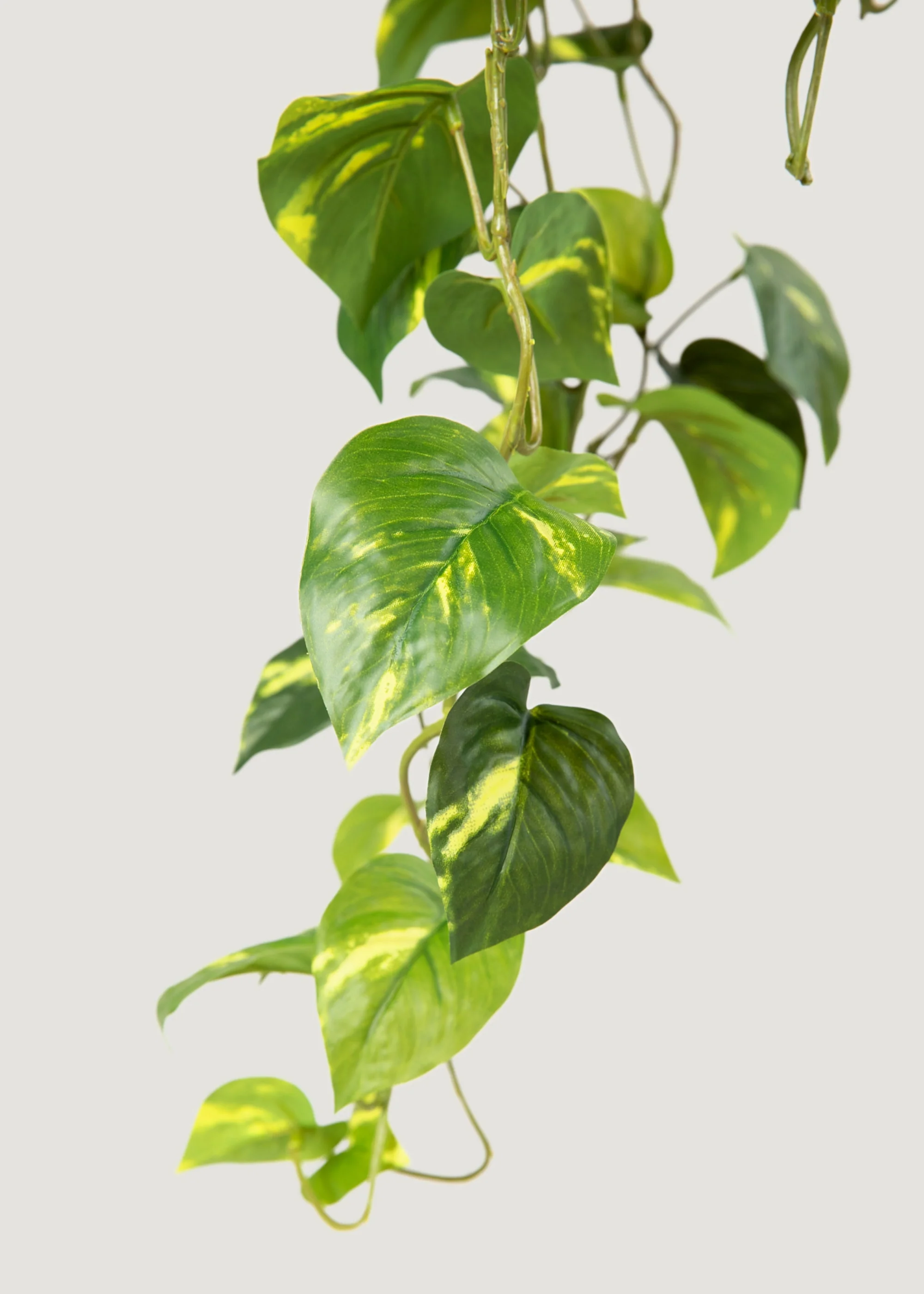 Deluxe Real Touch Pothos Fake Hanging Plant - 36" - Image 3