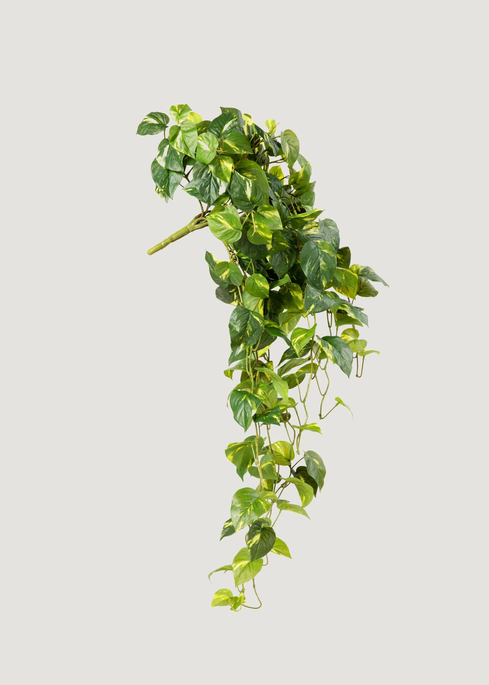 Deluxe Real Touch Pothos Fake Hanging Plant - 36" - Image 5