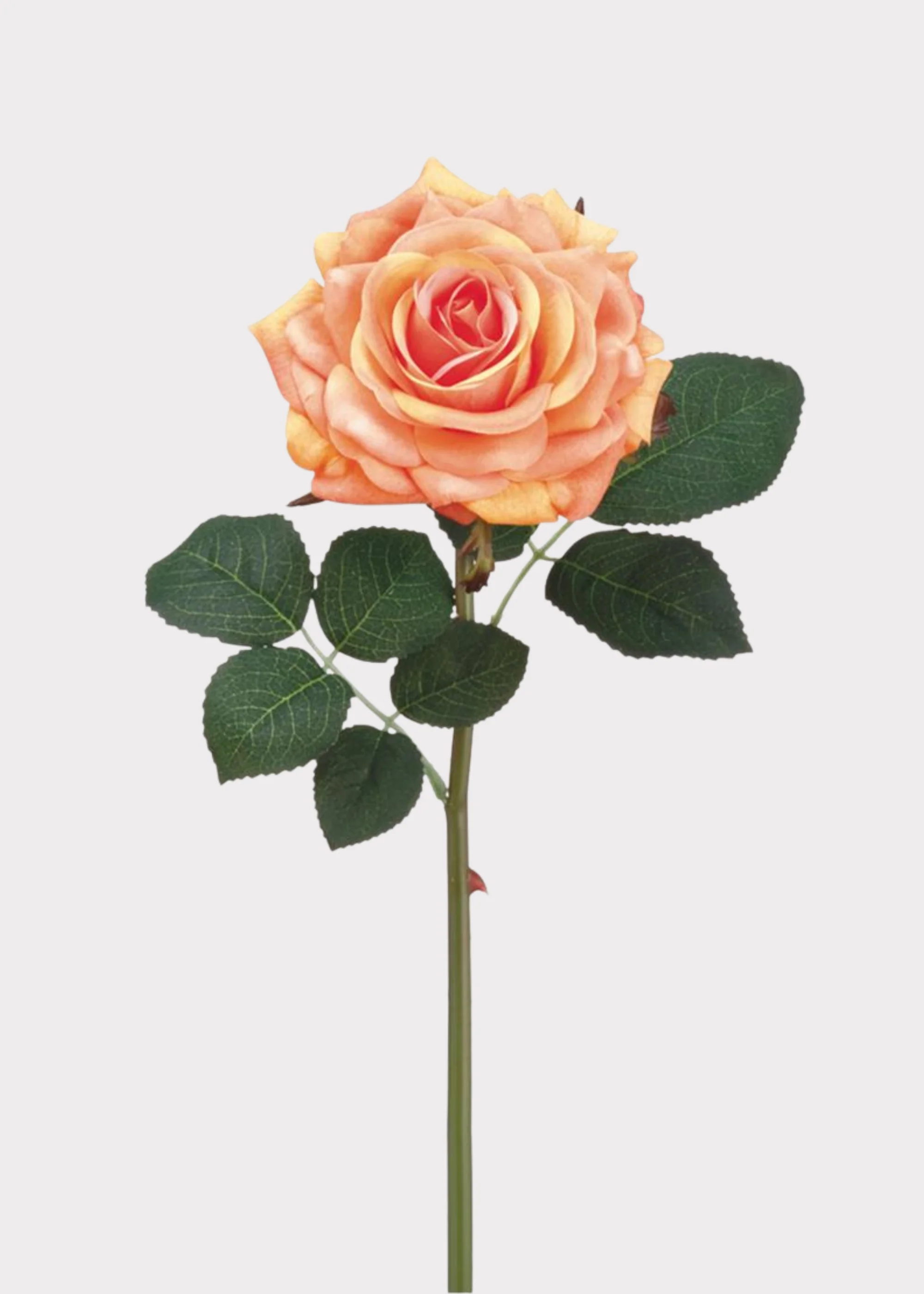 Real Touch Rose in Peach - 12"