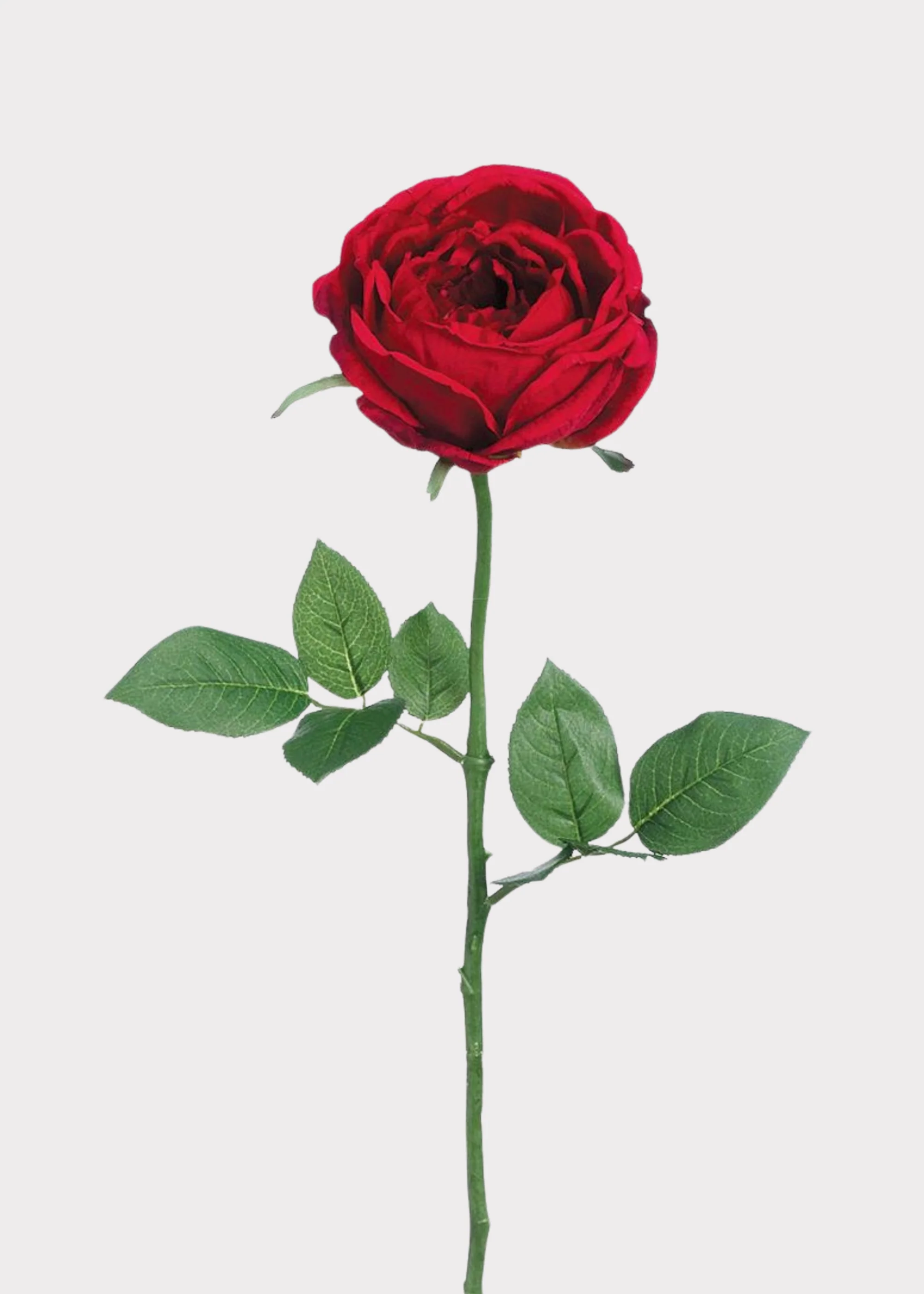Red Artificial Garden Cabbage Rose - 23"