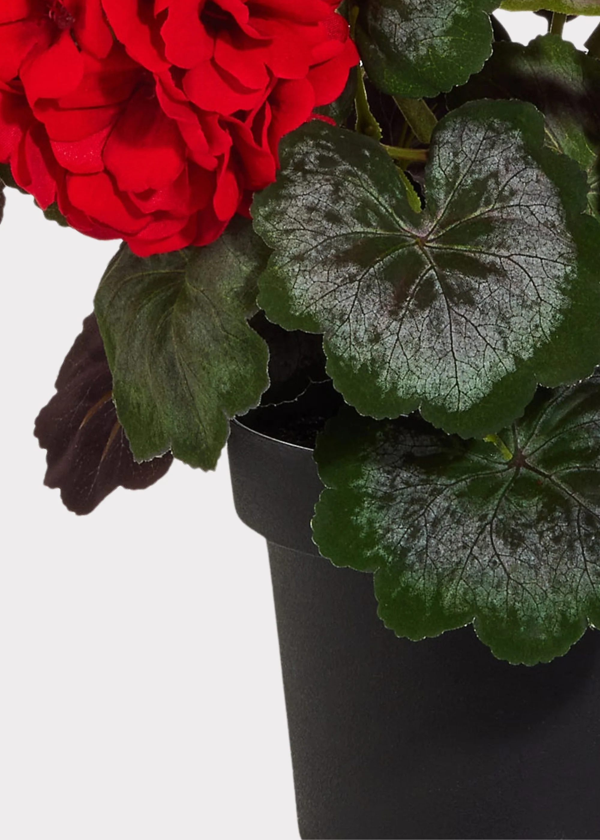 Red Artificial Geranium Potted Arrangement - 18" - Image 3