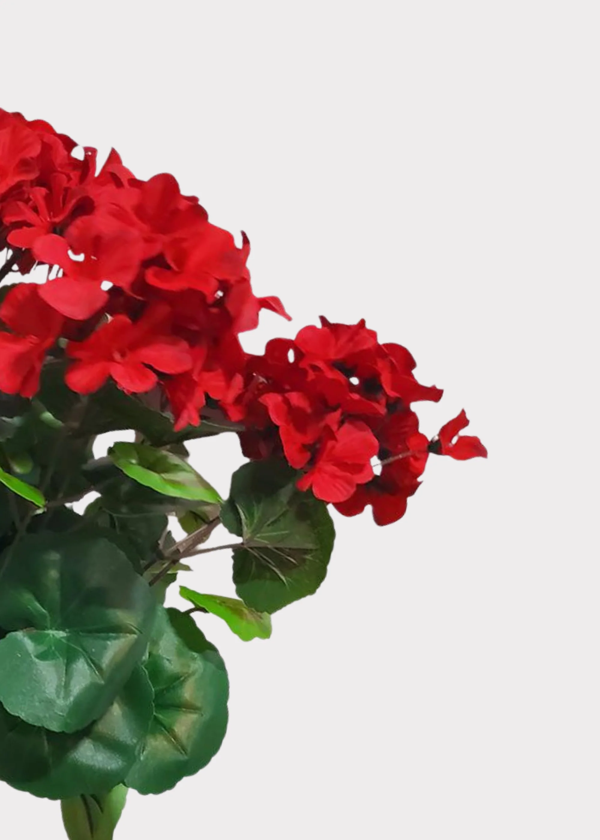 Red Artificial Geranium UV Treated Indoor/Outdoor Bush - 18.5" - Image 3
