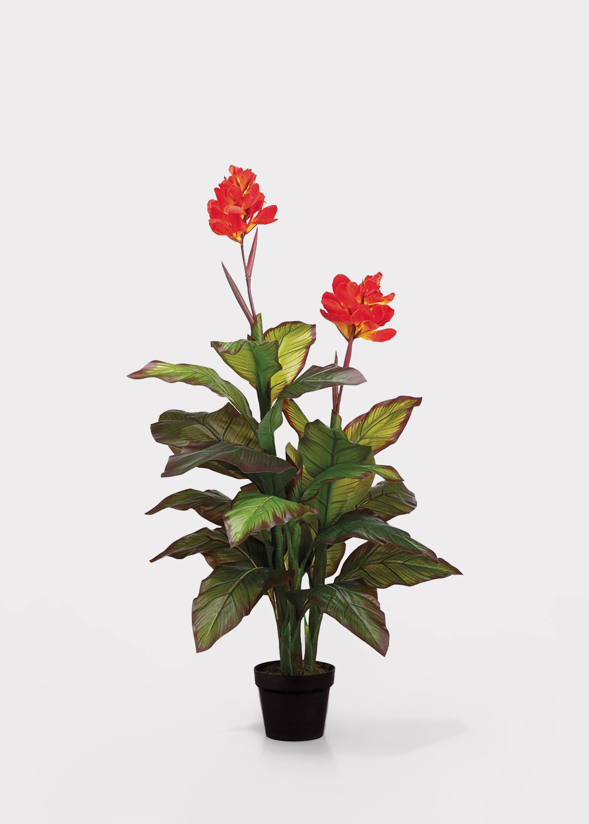 Red Fake Potted Blooming Tropical Canna Floor Plant - 48"