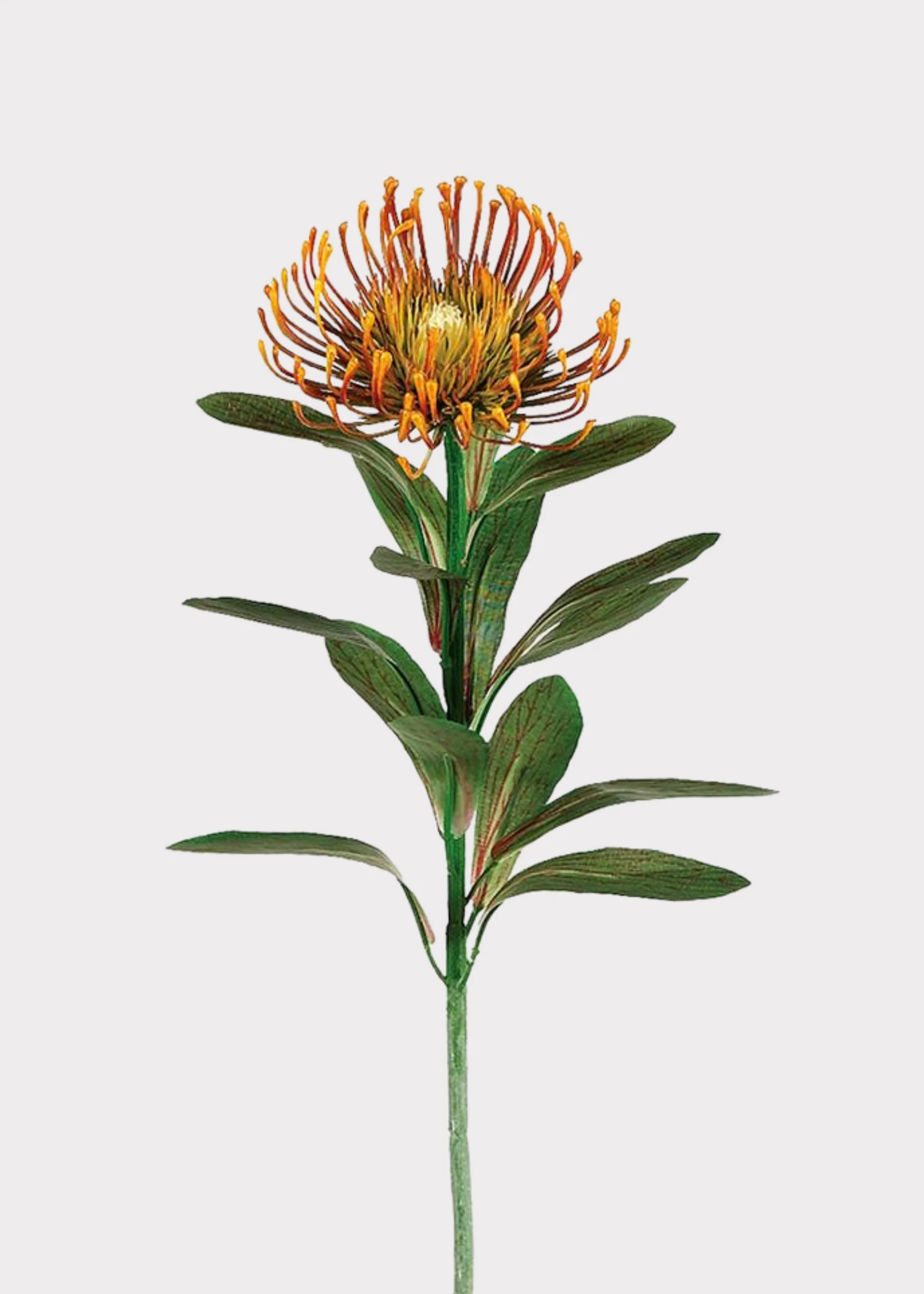 Rust Orange Artificial Pincushion Protea Tropical Flower - 28"