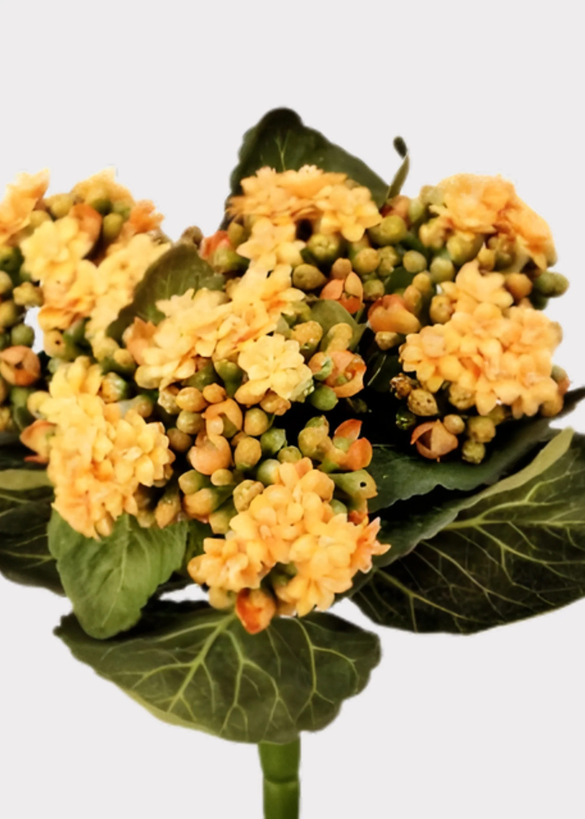 Small Fake Kalanchoe Blooming Plant in Yellow - 9" - Image 2