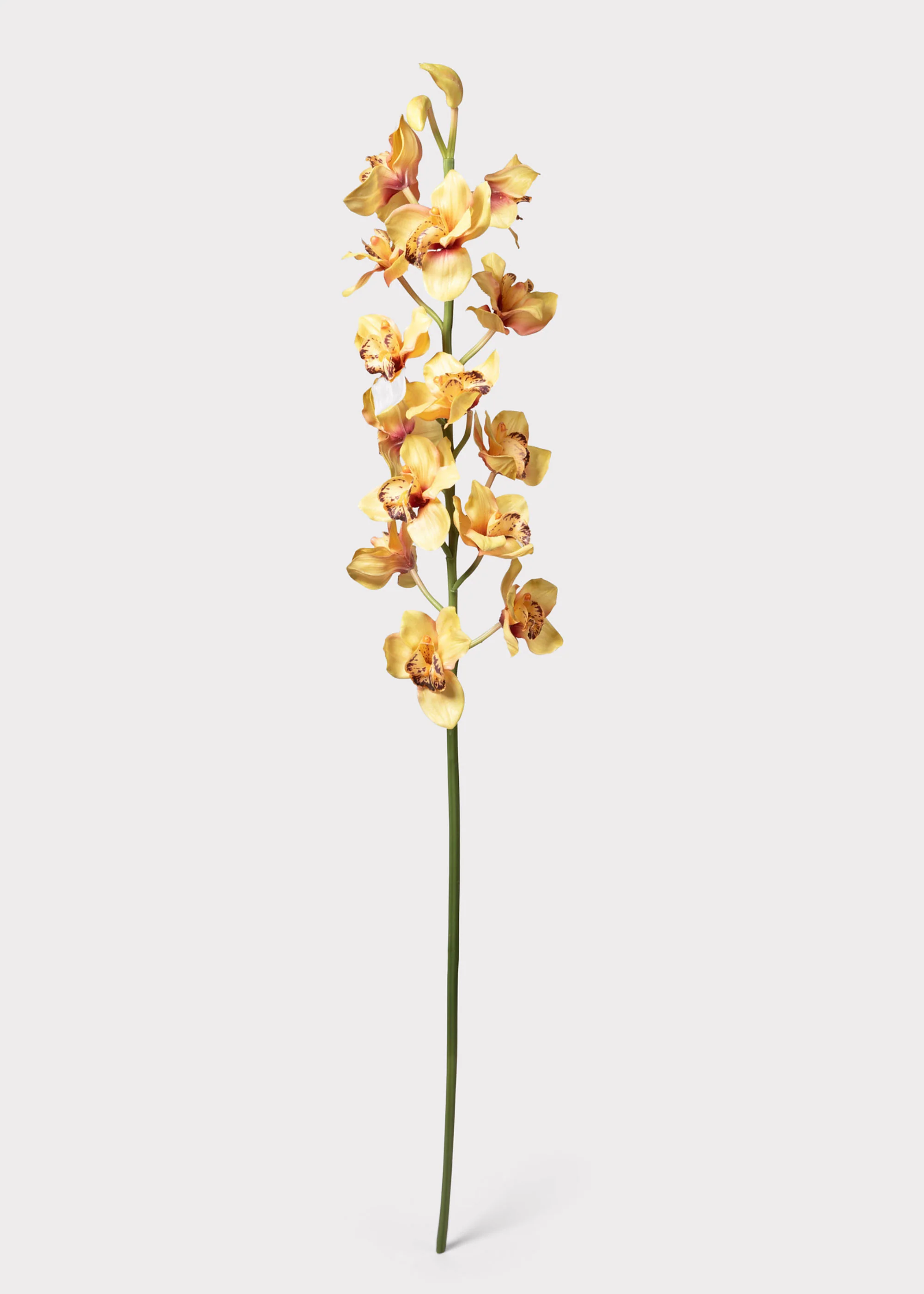 Large Soft Yellow Artificial Cymbidium Orchids - 50" - Image 3