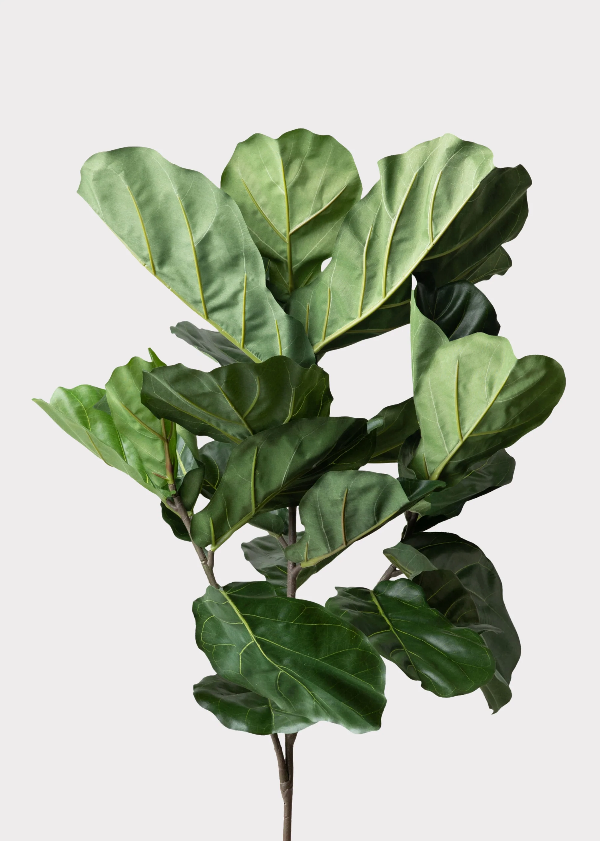 Tall Artificial Fiddle Leaf Fig Branch - 41" - Image 2