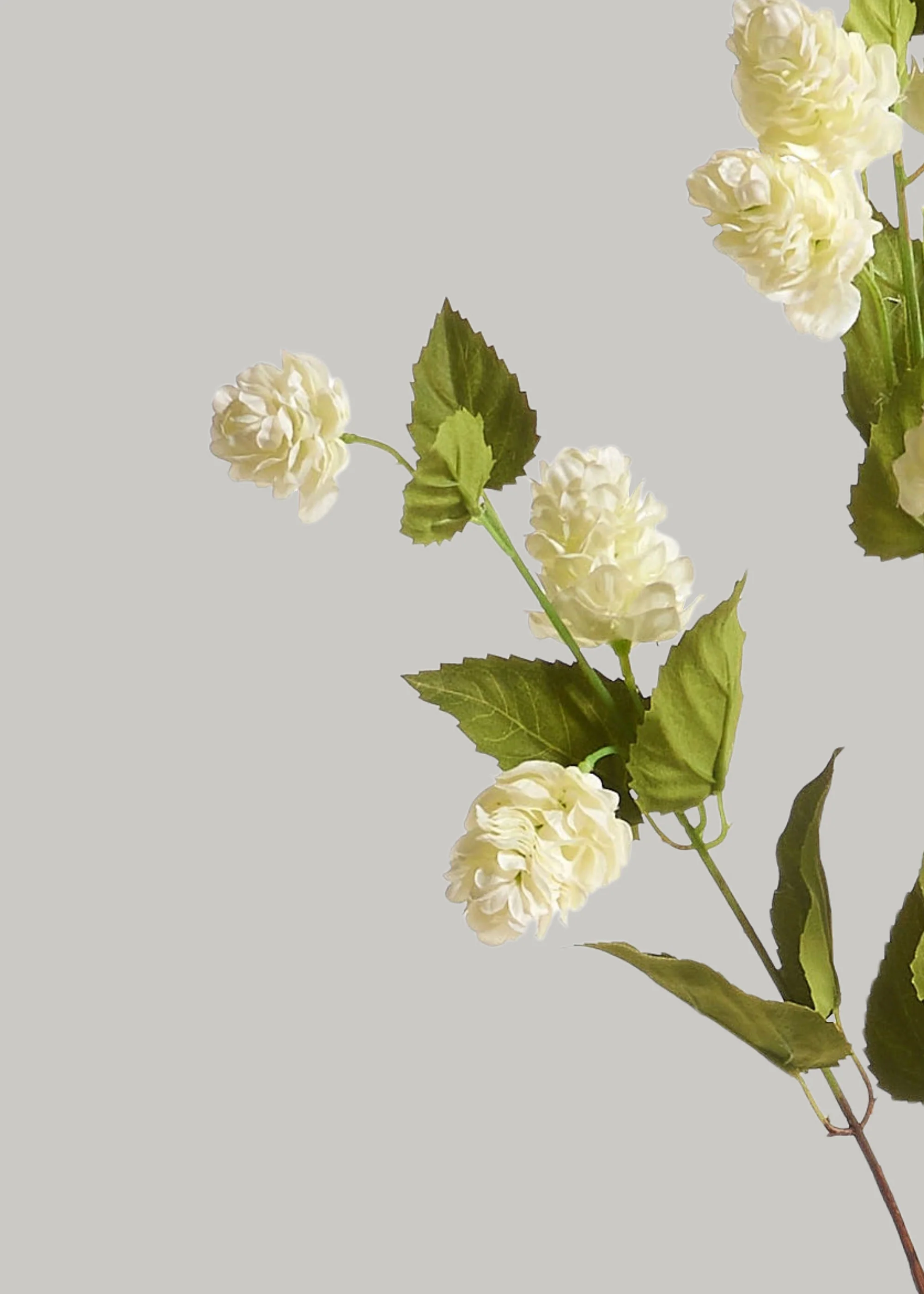 Tall Artificial Hops Branch in Cream Green - 40" - Image 2