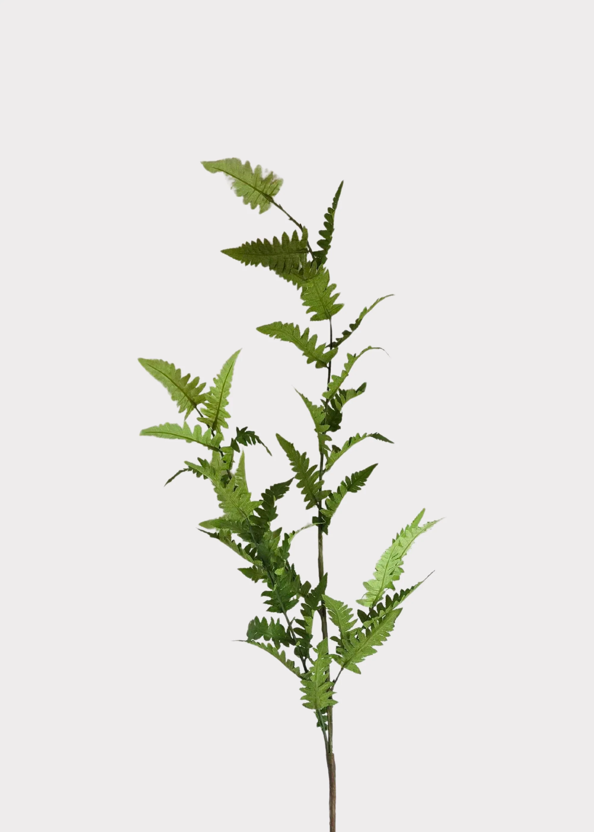 Tall Artificial Wild Fern Leaf Greenery Branch - 48"
