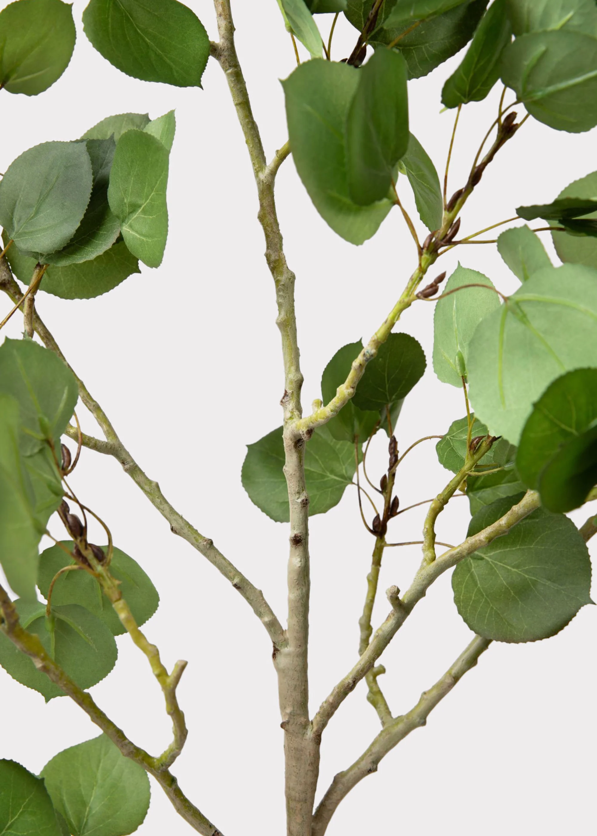 Premium Tall Artificial Aspen Branch - 51" - Image 3