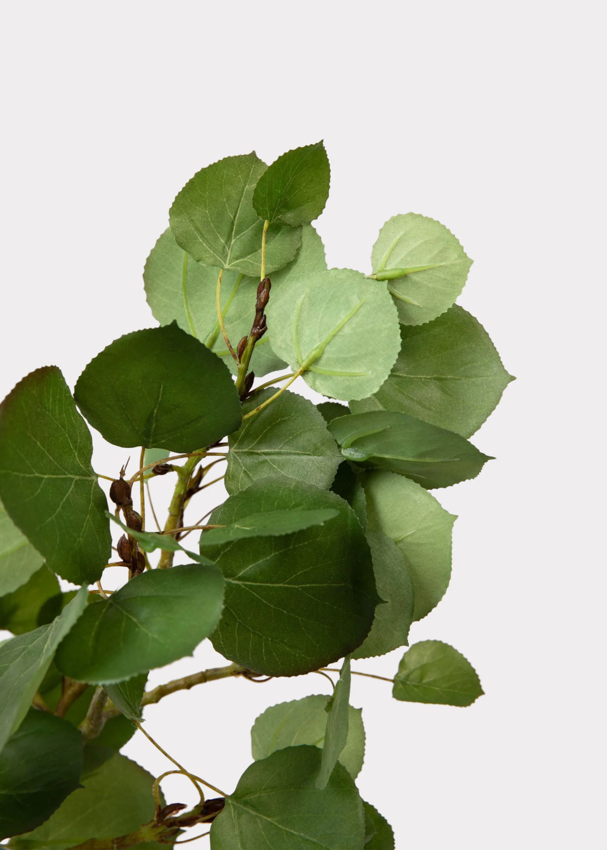 Premium Tall Artificial Aspen Branch - 51" - Image 5