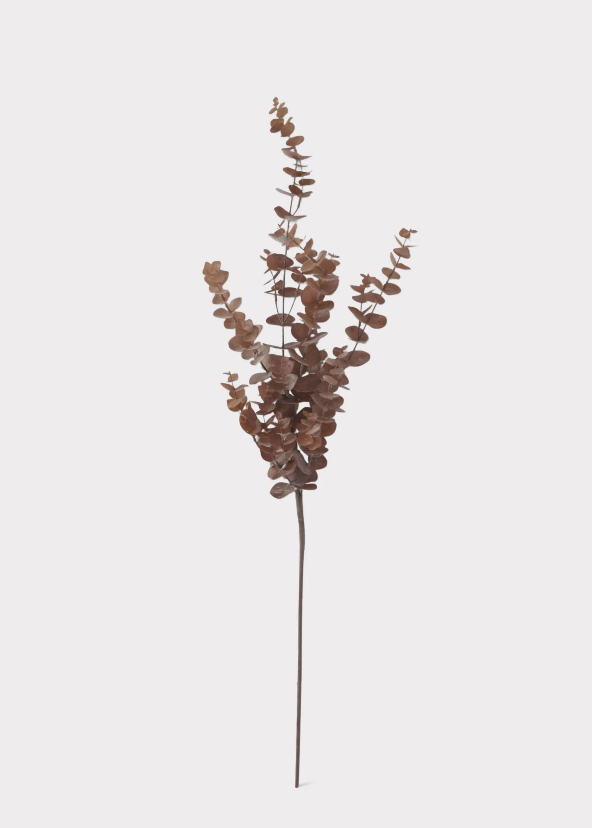 Tall Fake Eucalyptus Branch in Fall Brown Hue - 36" - Image 2