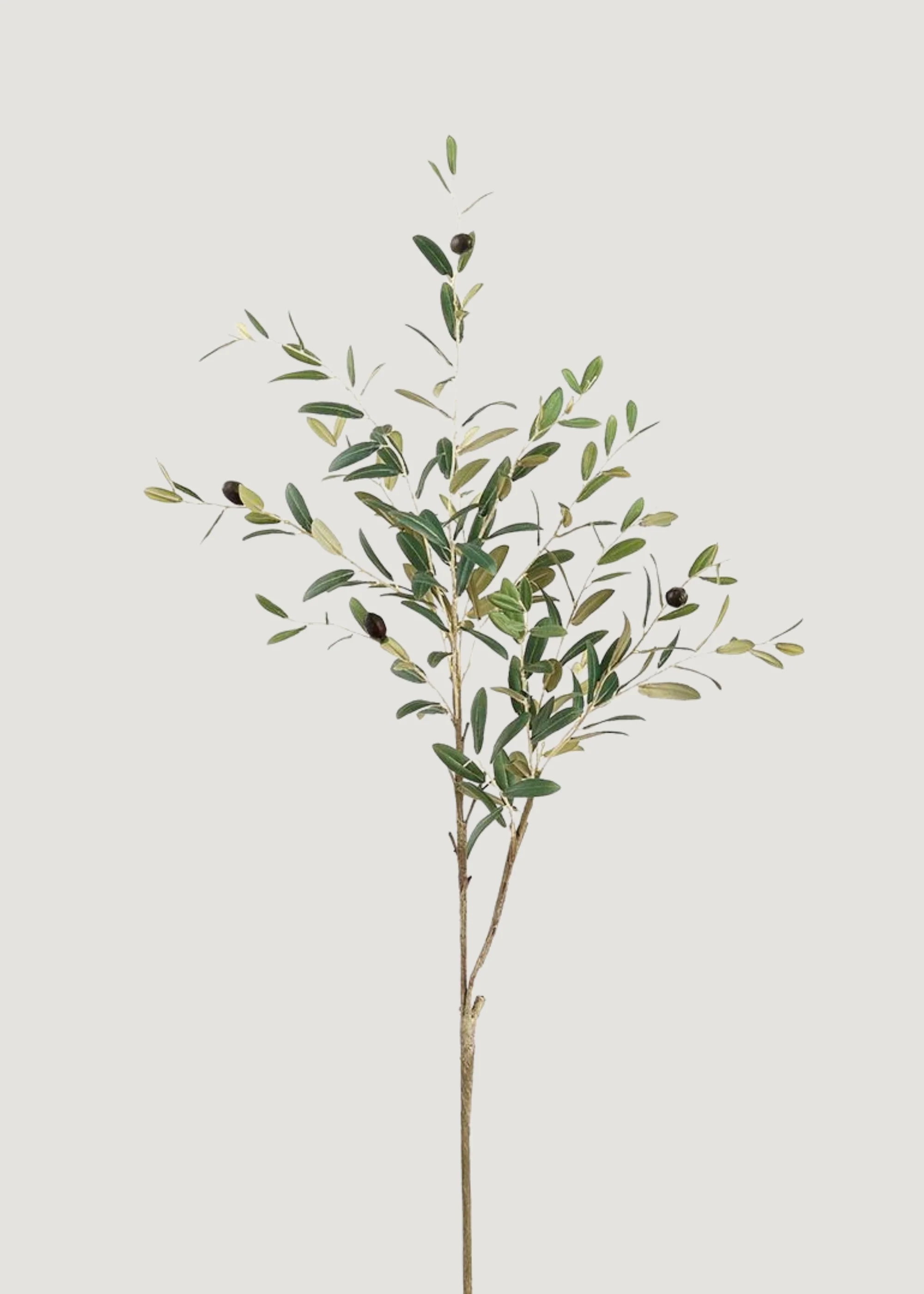 Tall Fake Olive and Leaf Branch - 41"