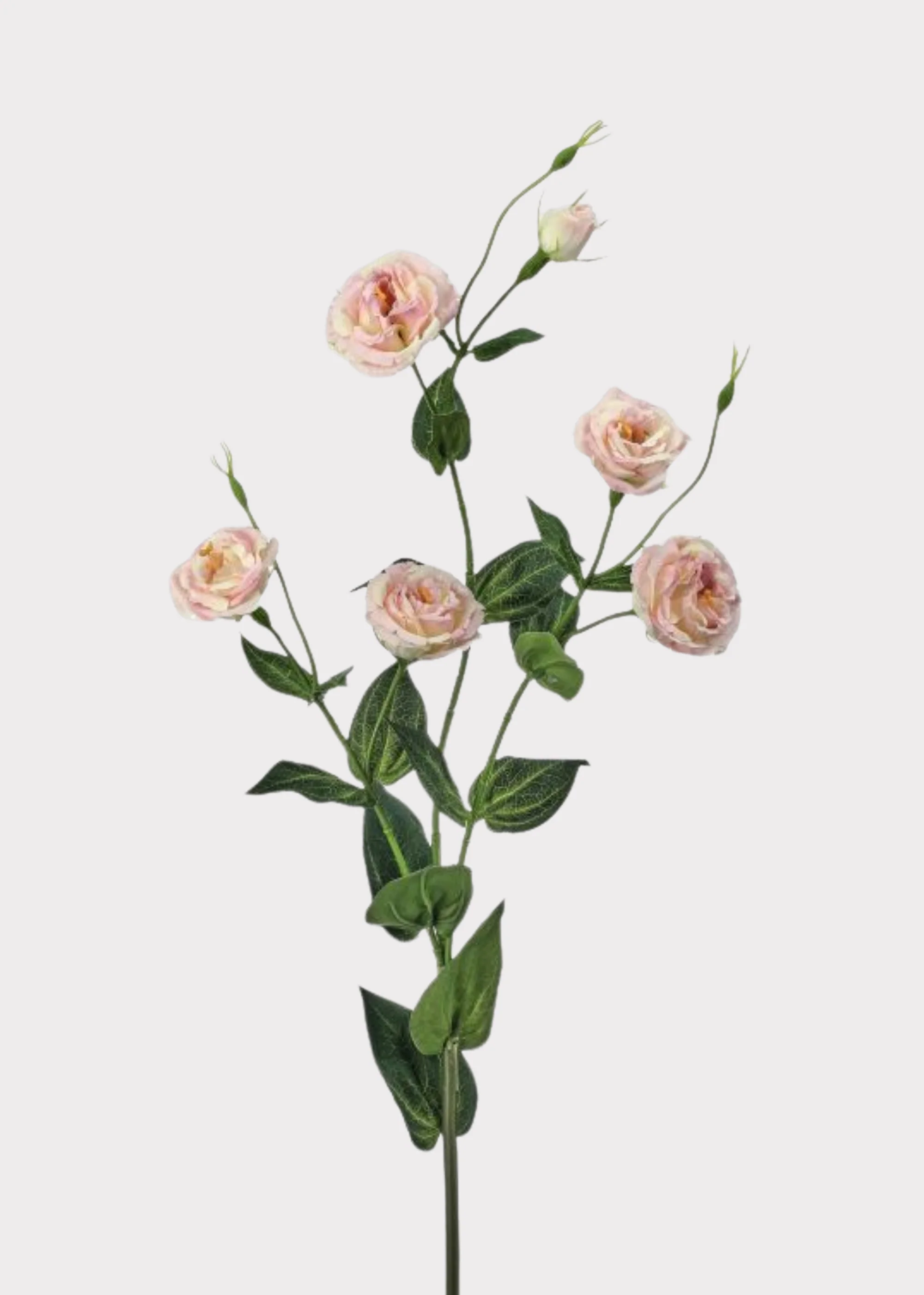 Tall Lisianthus Artificial Flower Spray in Blush Pink - 36"
