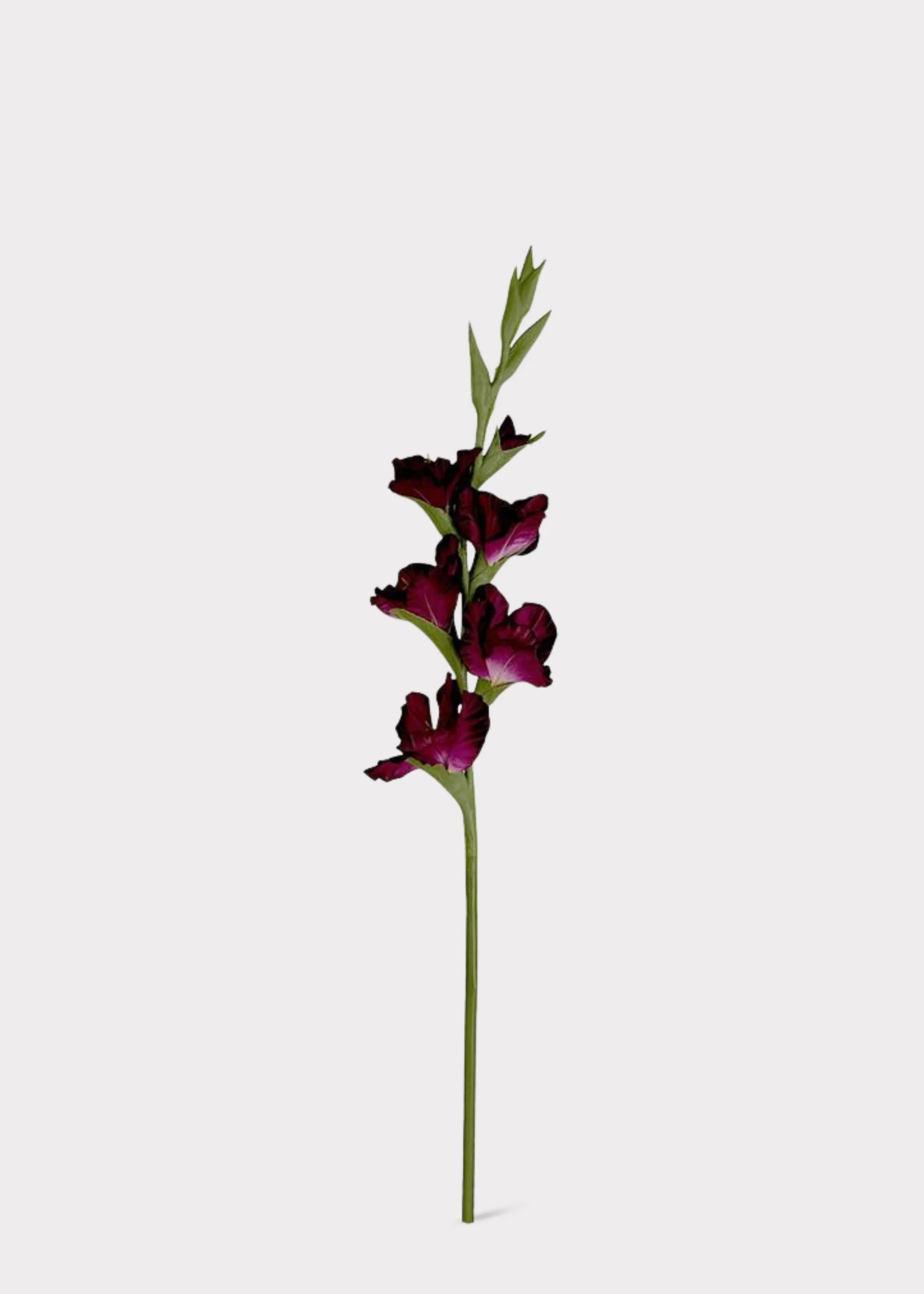 Tall Plum Purple Fake Gladiolus Flower Stem - 34" - Image 2