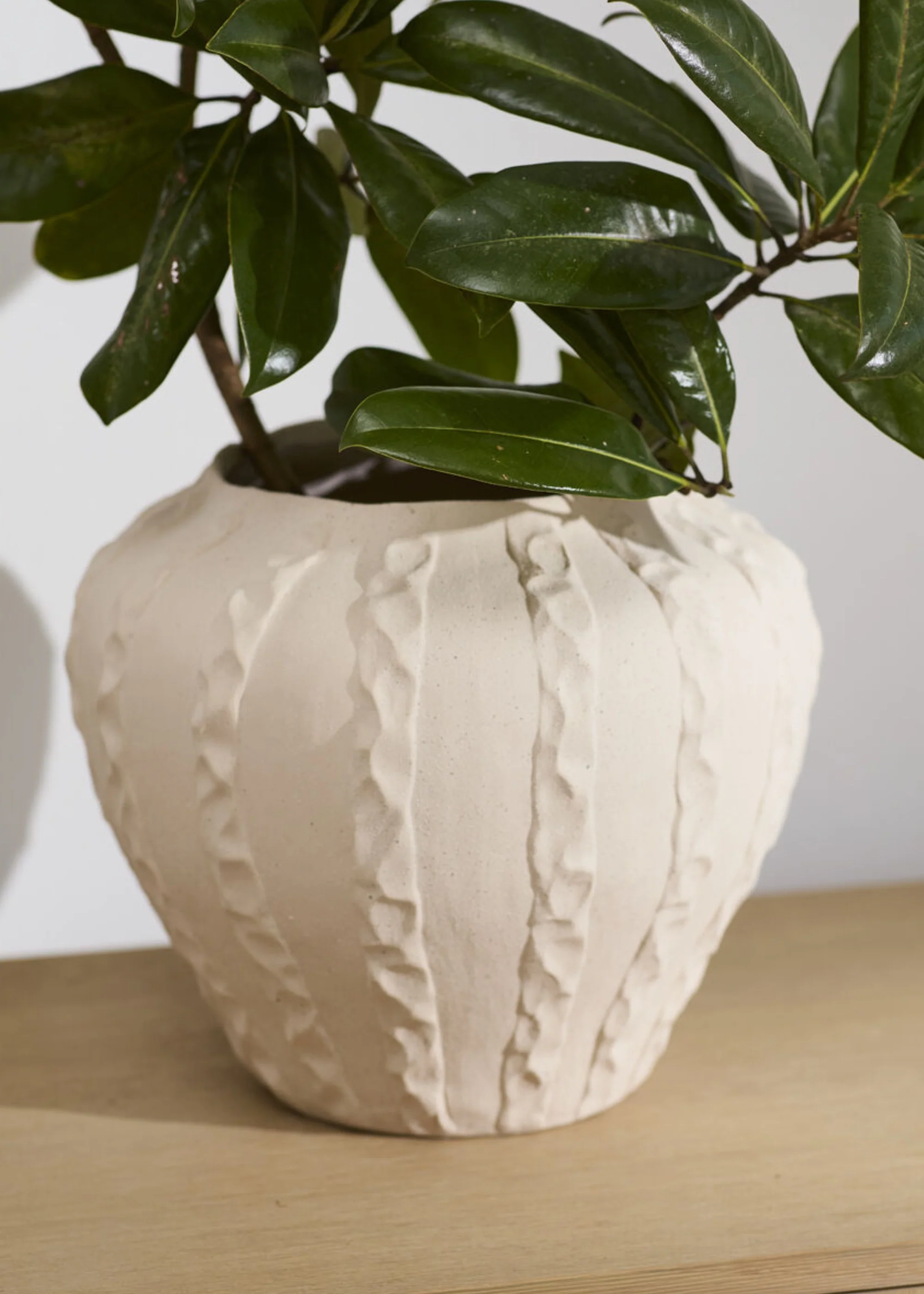 Textured Round Ceramic Argos Vase in Matte Sand Hue - 11.75" - Image 3